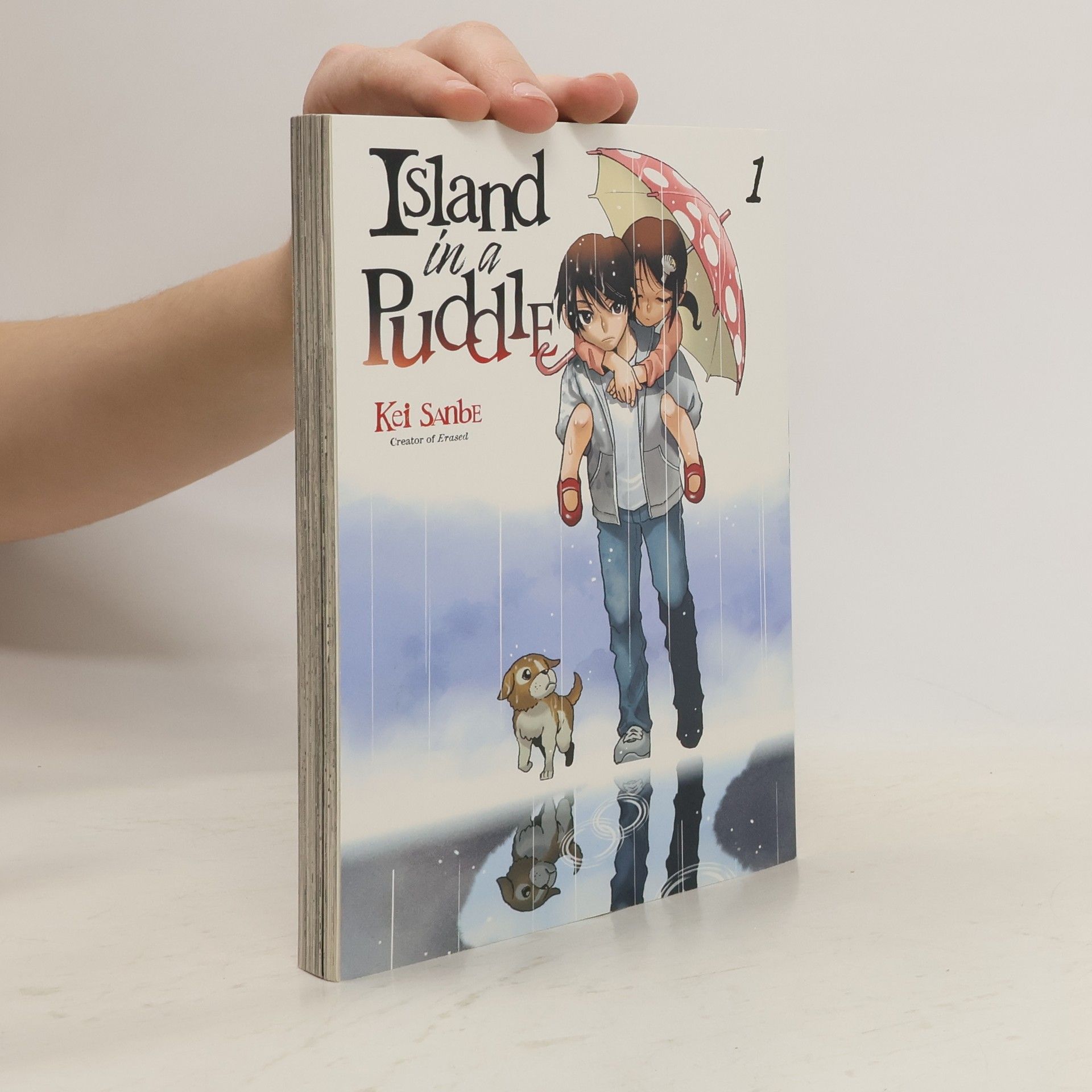 Kei Sanbe Island in a Puddle 1