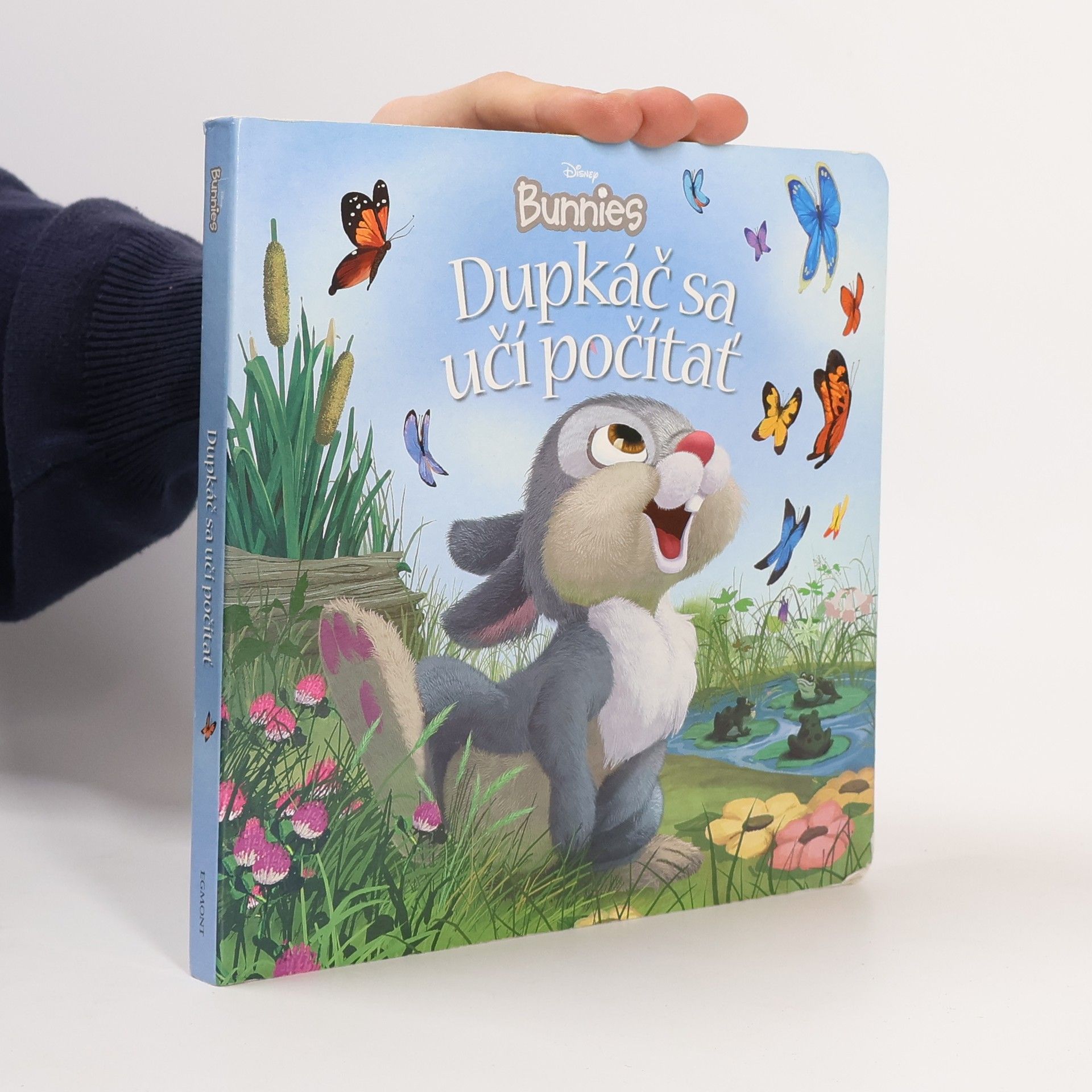 Kitty Richards Dupkáč sa učí počítať