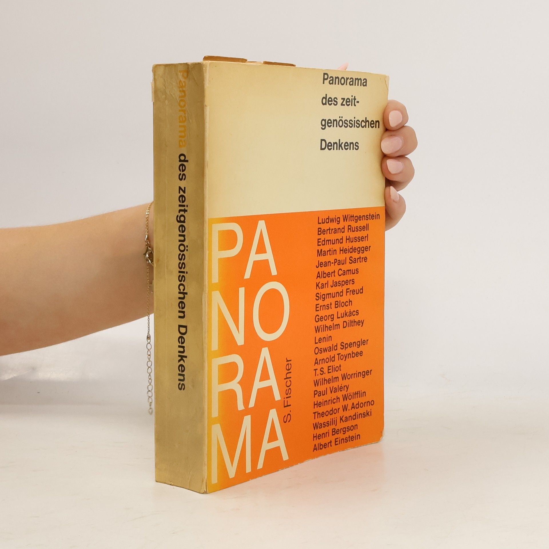 Autores varios Panorama des zeitgenössischen Denkens