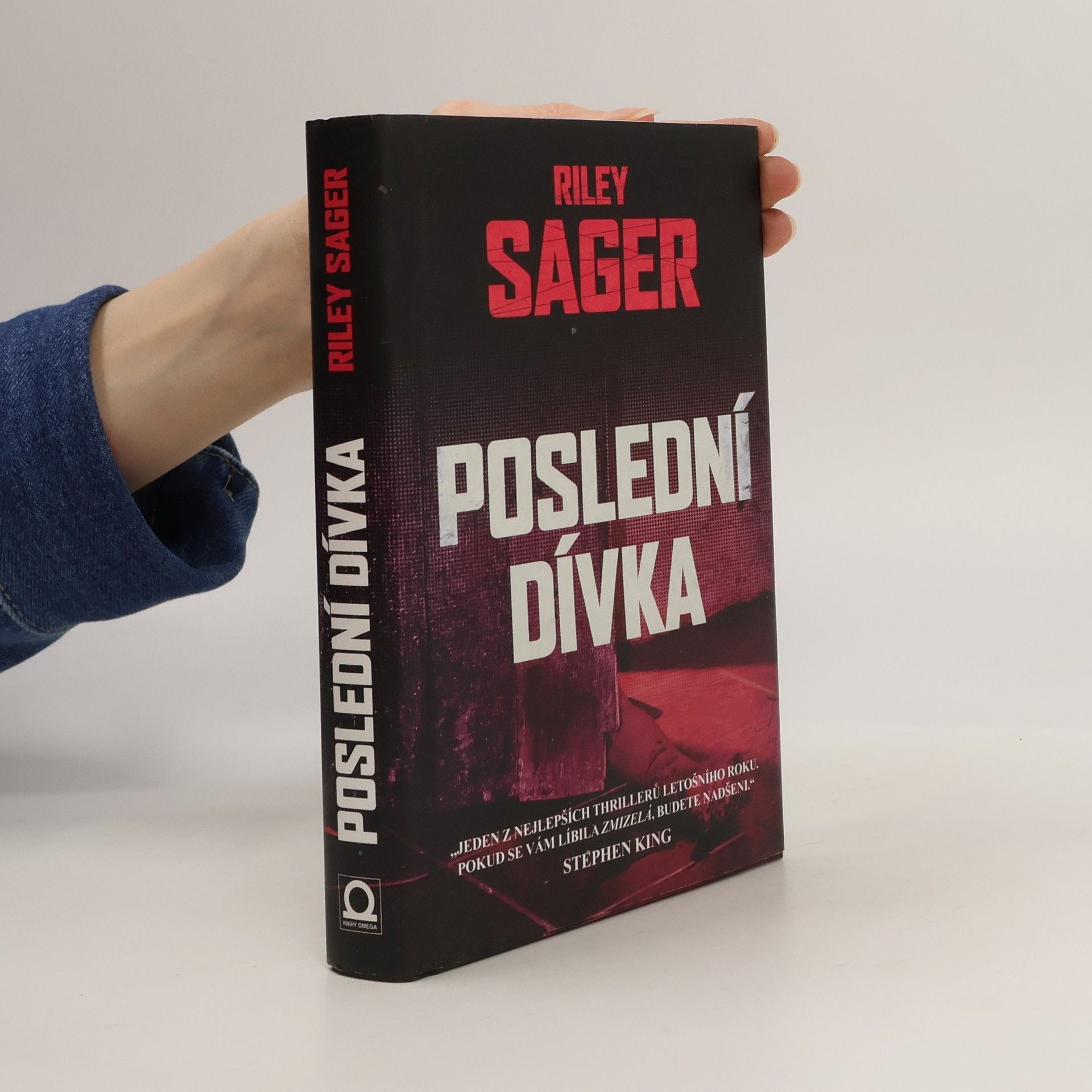 Todd Ritter Poslední dívka