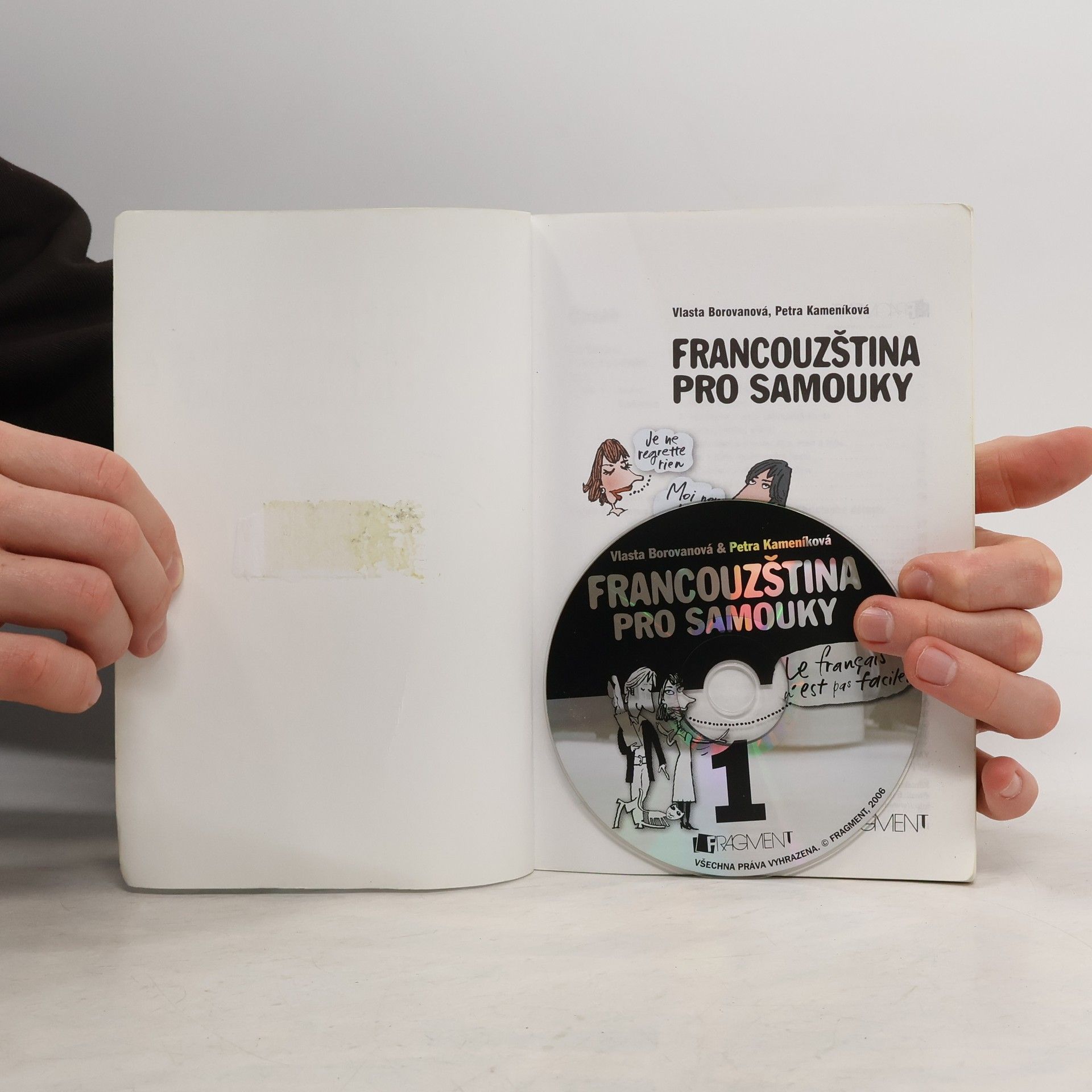 Vlasta Borovanová Francouzština pro samouky
