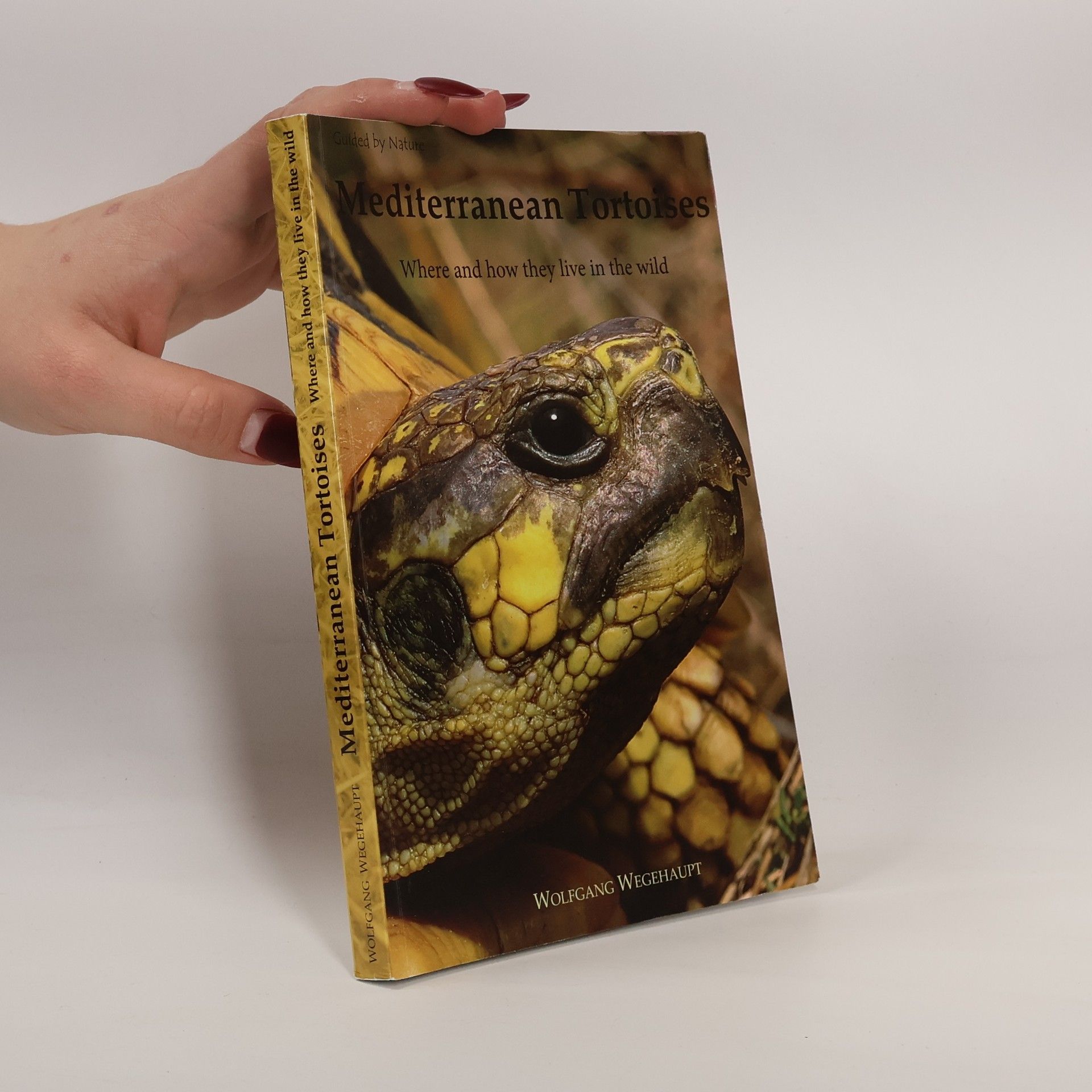 Wolfgang Wegehaupt Mediterranean tortoises