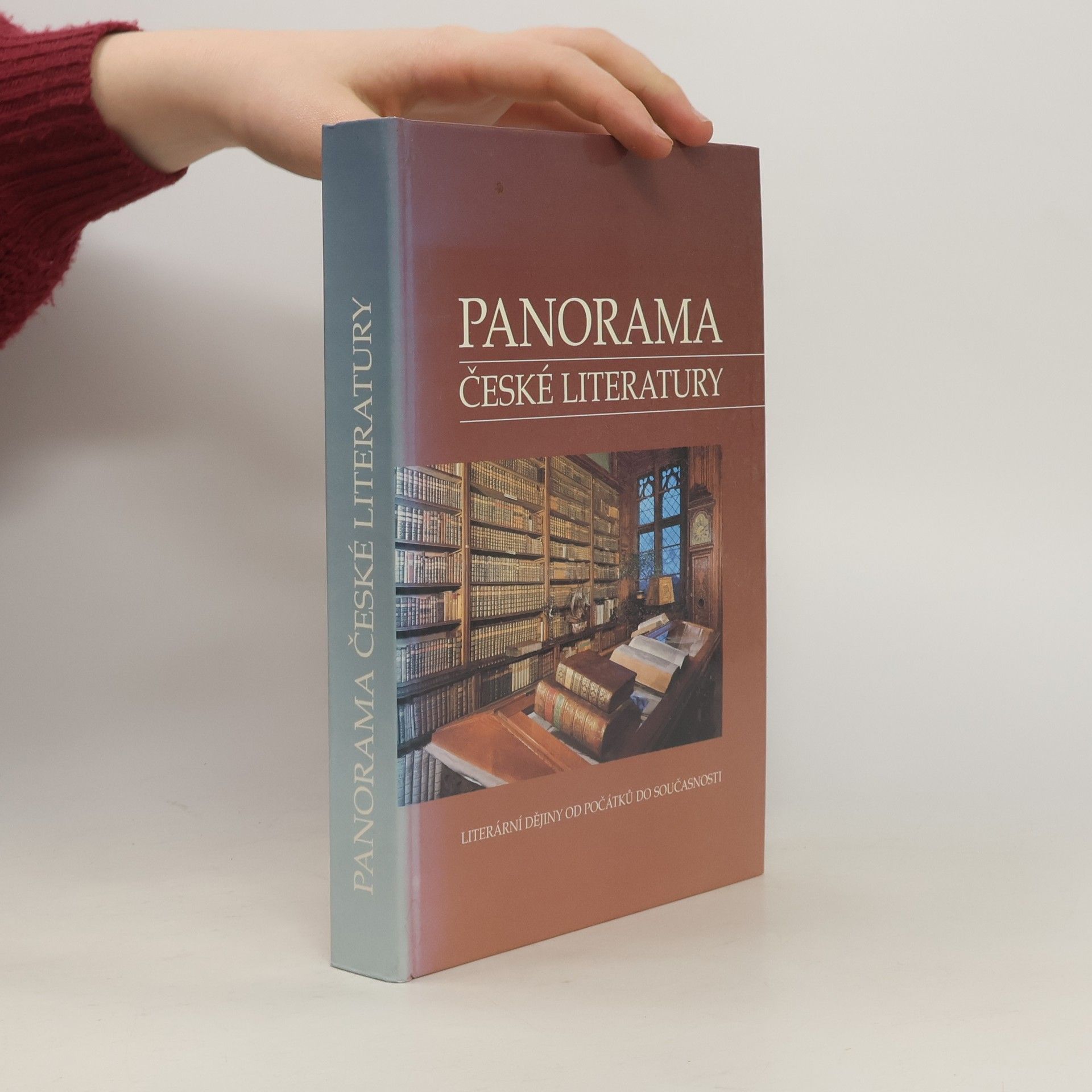 Josef Galík Panorama české literatury. Literární dějiny od počátků do současnosti