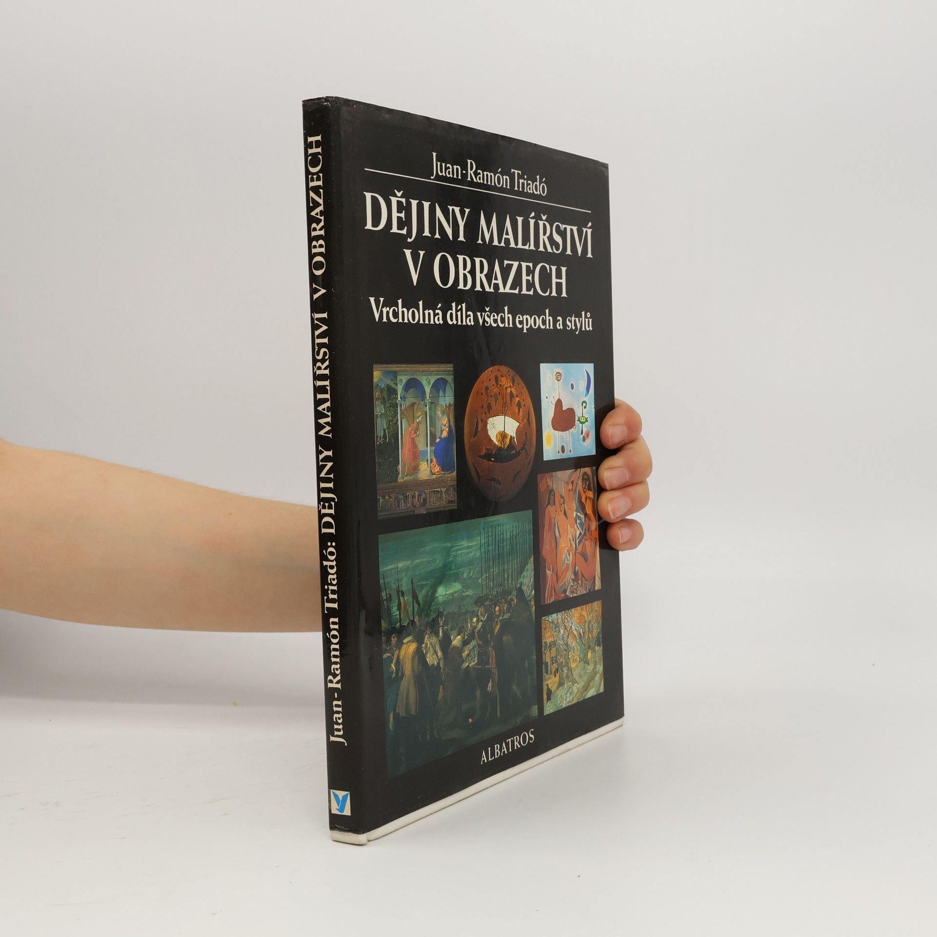 Dějiny malířství v obrazech : vrcholná díla všech epoch a stylů