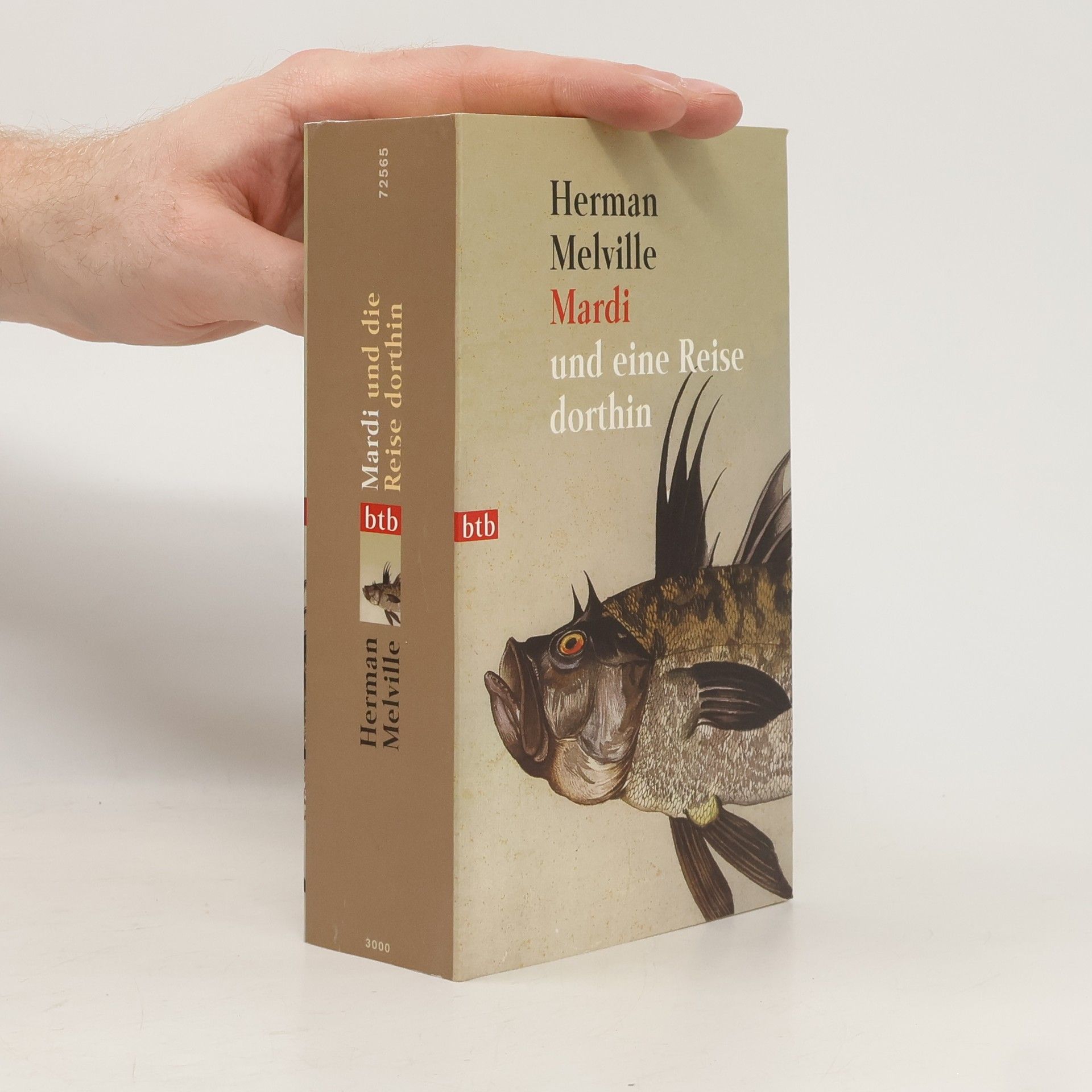 Herman Melville Mardi und eine Reise dorthin