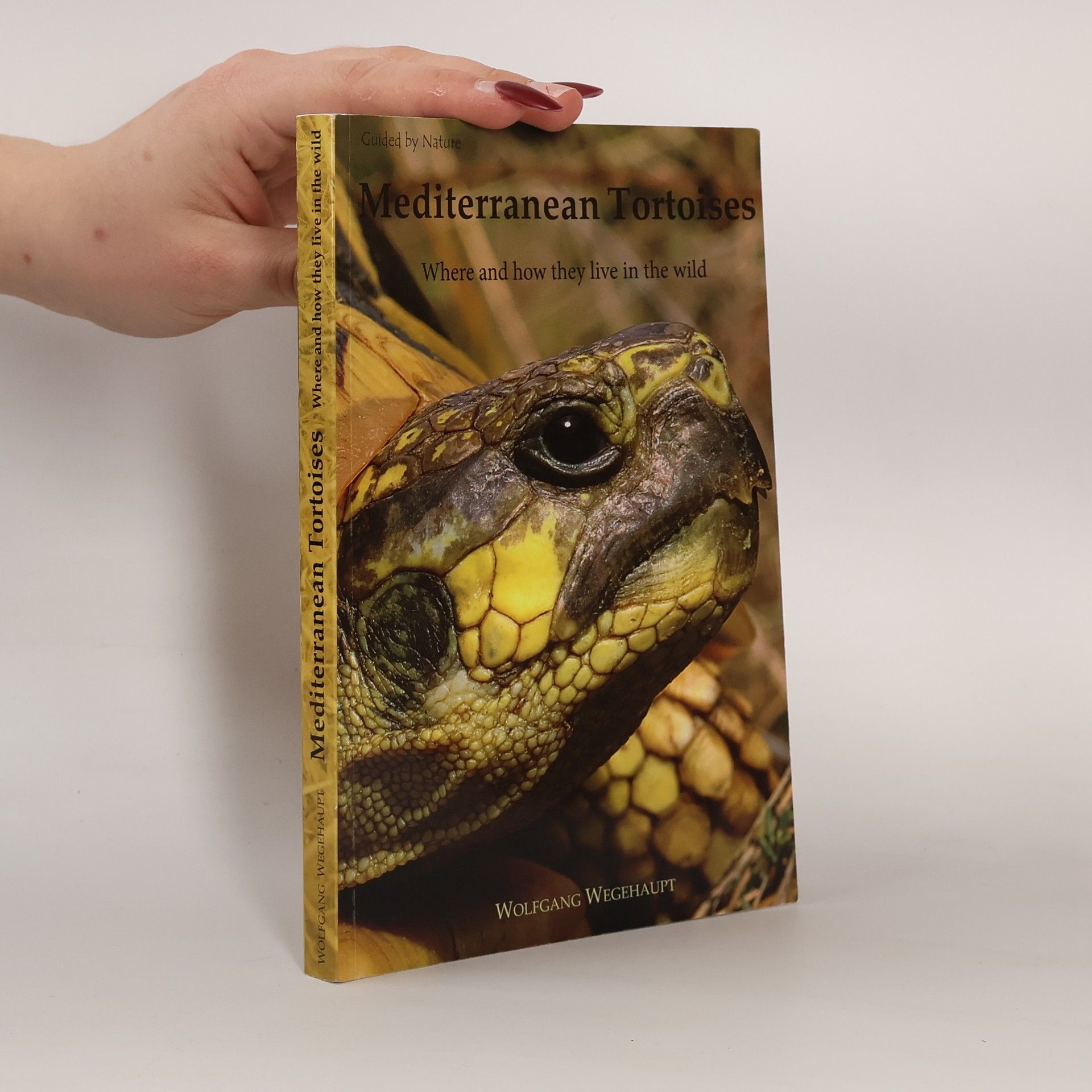 Wolfgang Wegehaupt Mediterranean tortoises
