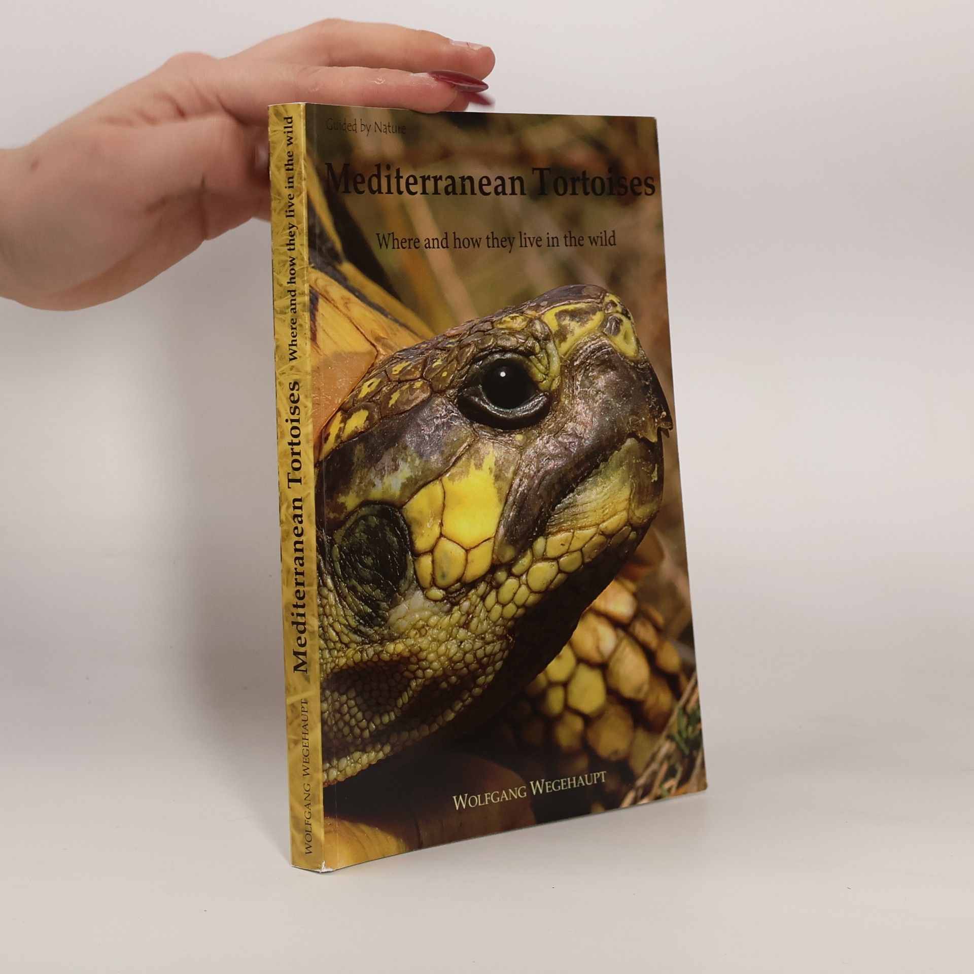 Wolfgang Wegehaupt Mediterranean tortoises