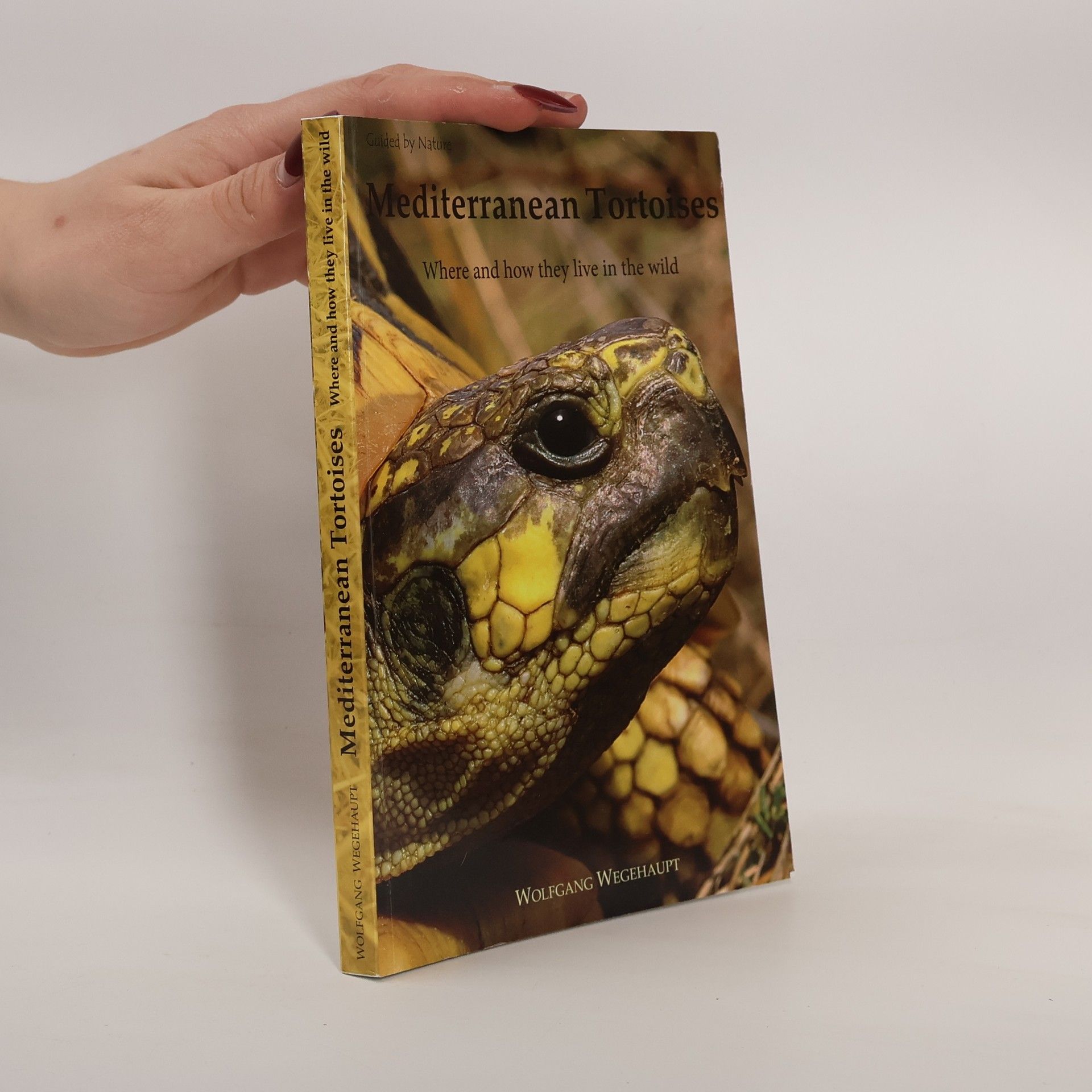 Wolfgang Wegehaupt Mediterranean tortoises
