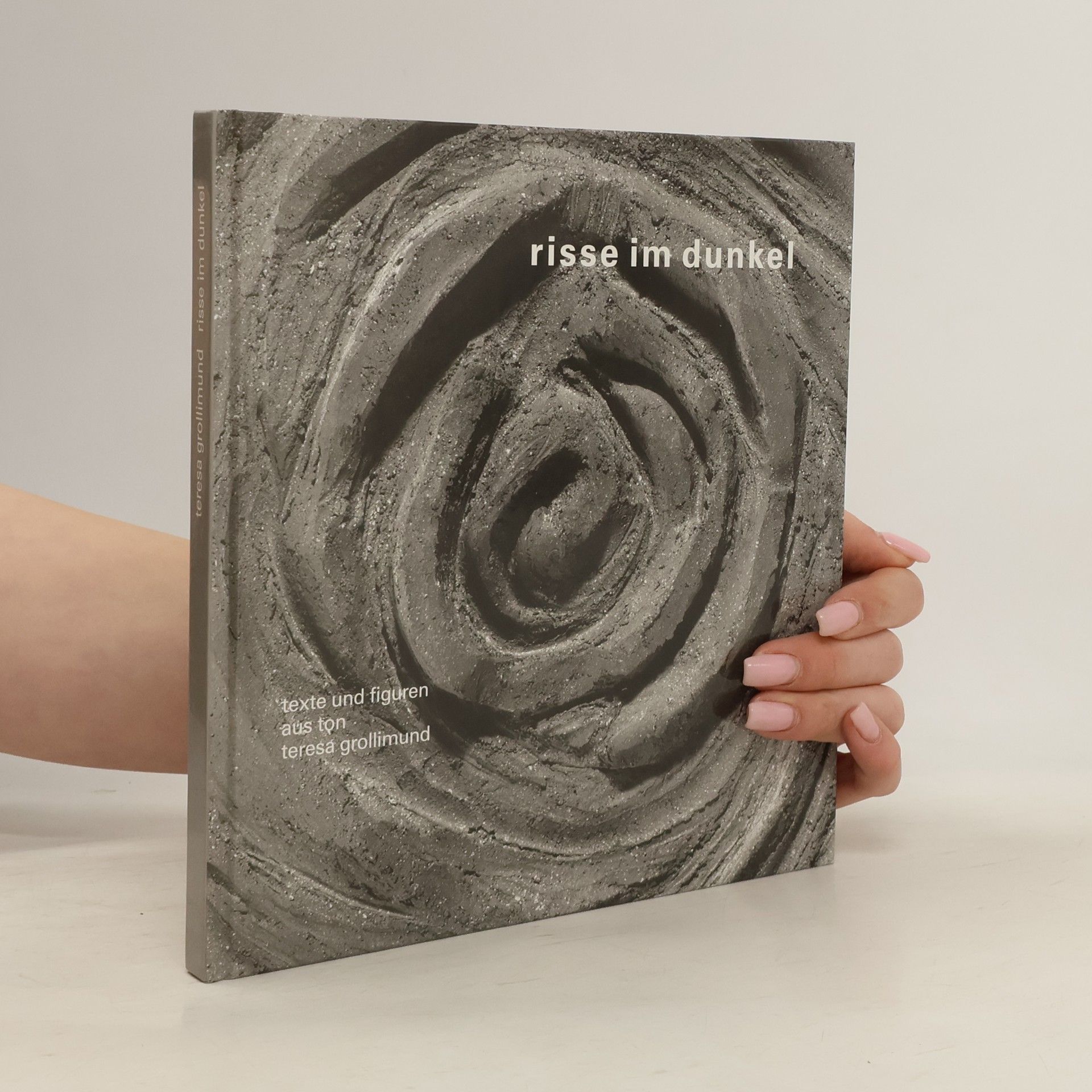 Autores varios Risse im Dunkel.