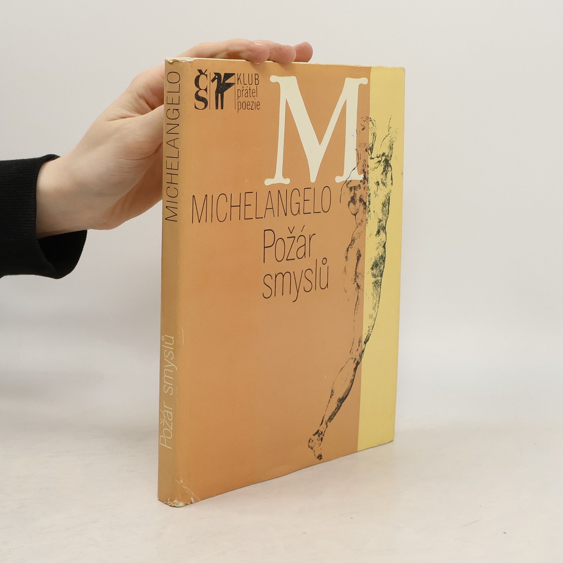 Michelangelo Buonarroti Požár smyslů