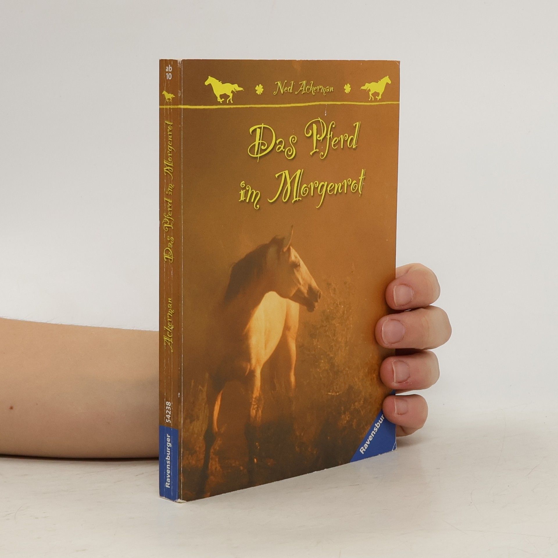 Ned Ackerman Das Pferd im Morgenrot