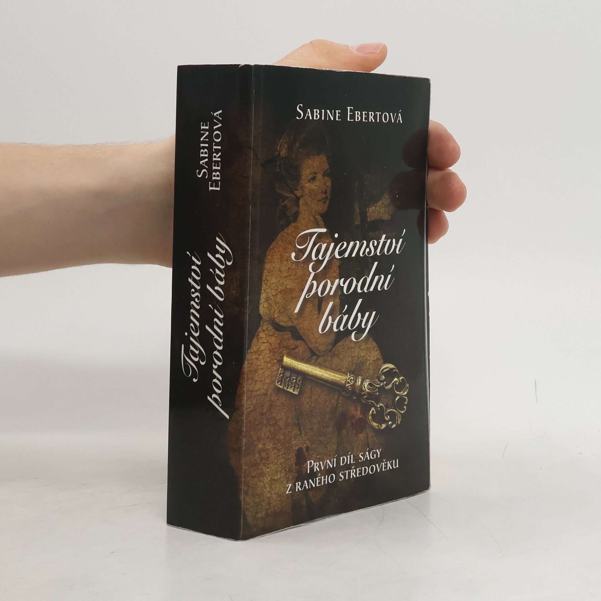Sabine Ebert Tajemství porodní báby