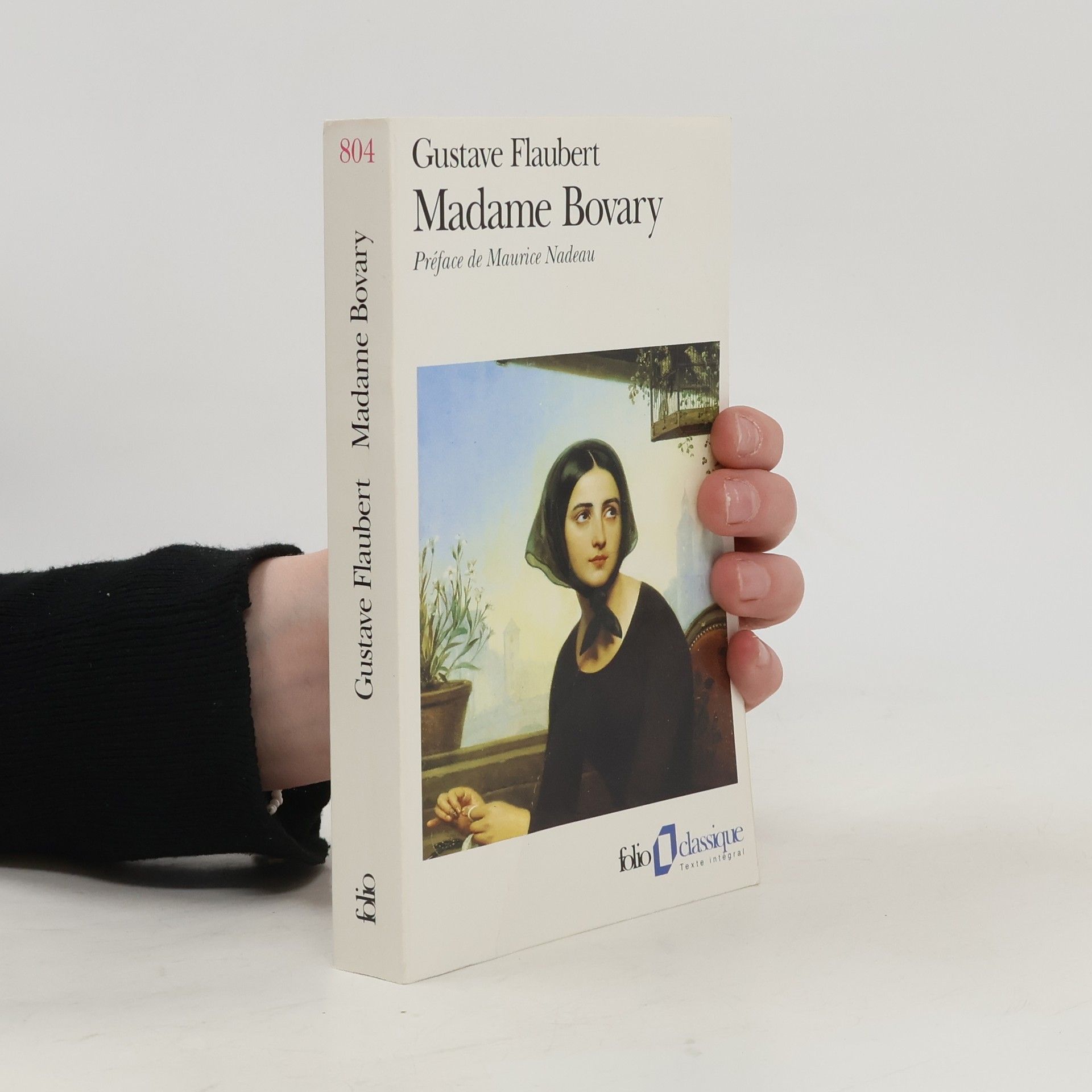 Gustave Flaubert Madame Bovary