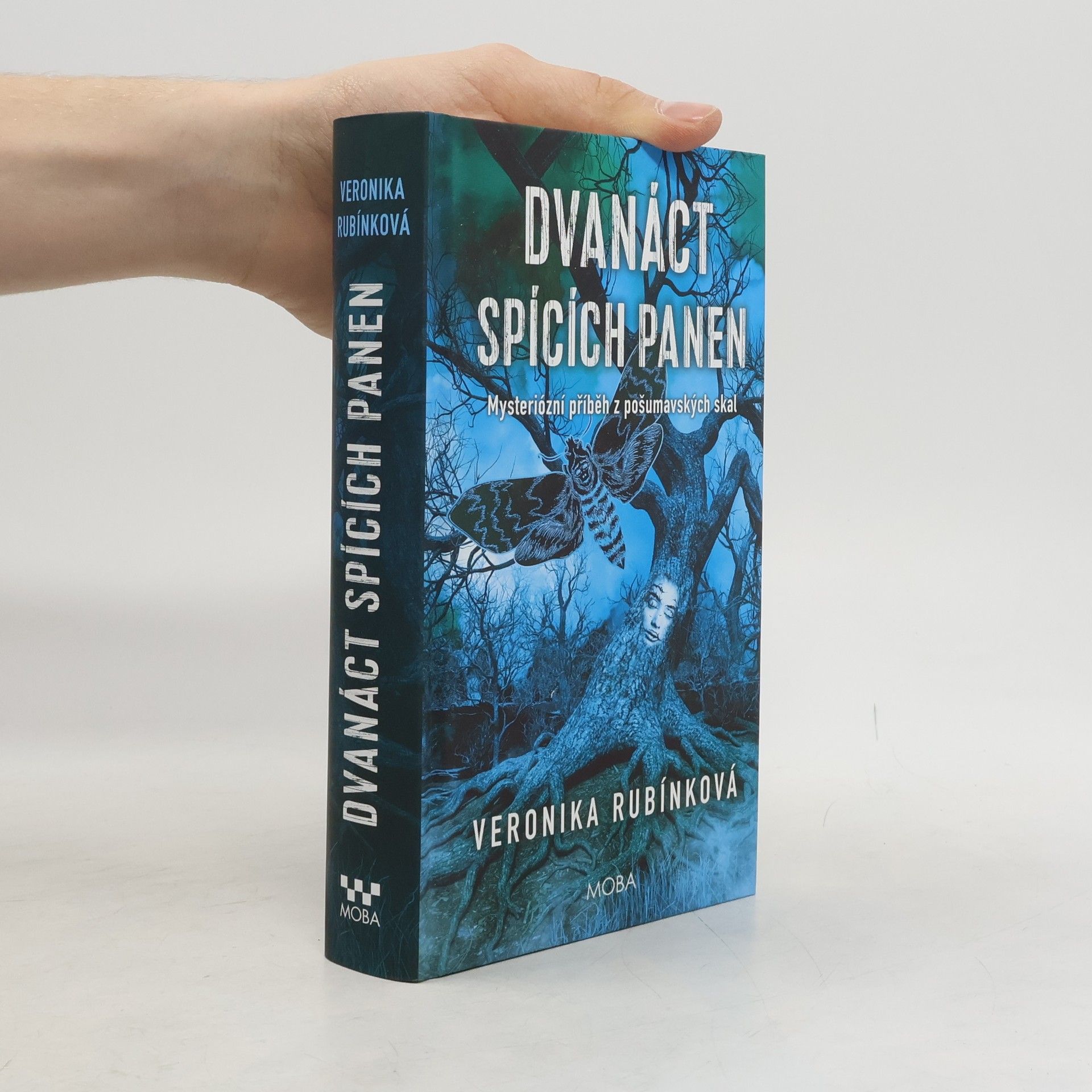 Dvanáct spících panen