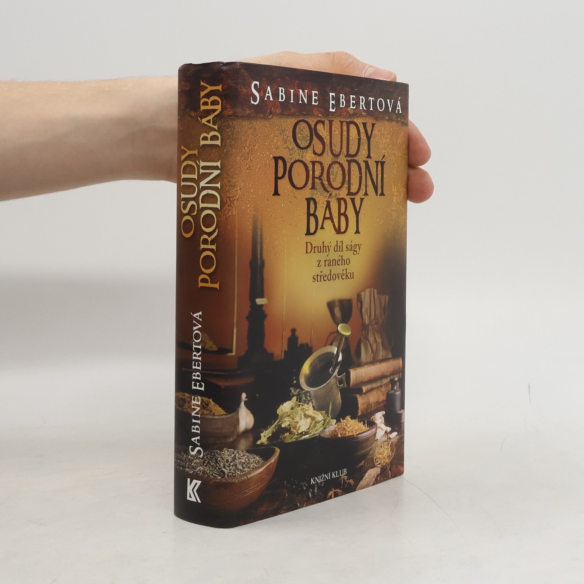 Sabine Ebert Osudy porodní báby