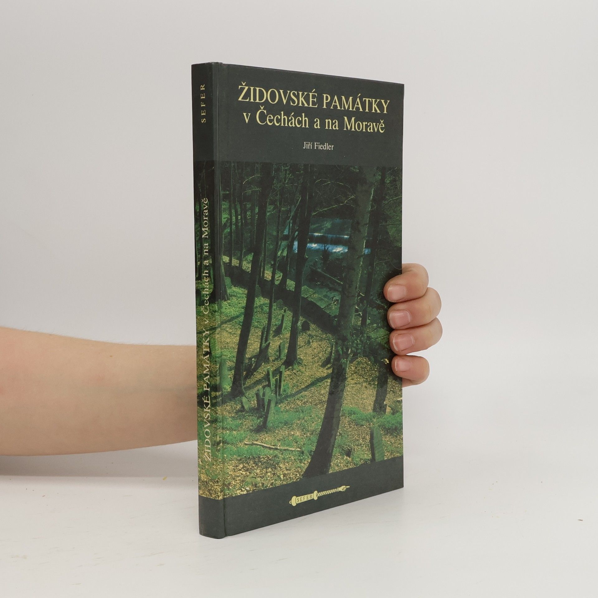 Arno Pařík Židovské památky v Čechách a na Moravě