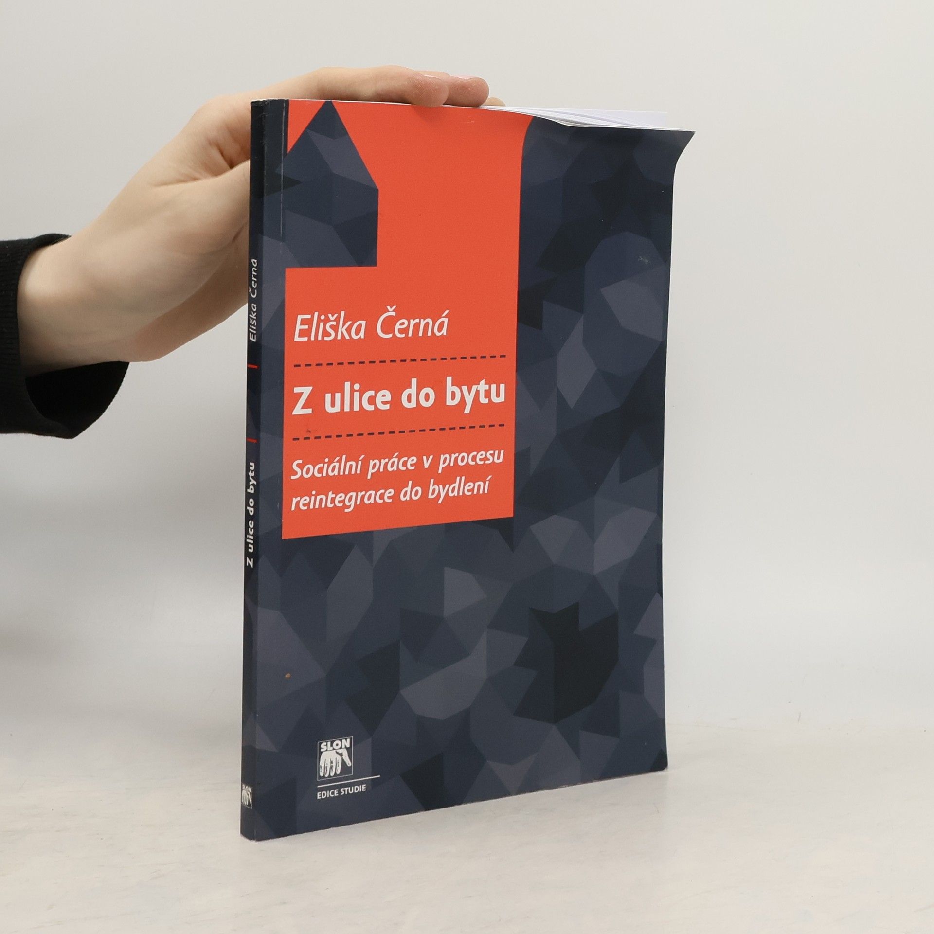 Eliška Černá Z ulice do bytu: Sociální práce v procesu reintegrace do bydlení