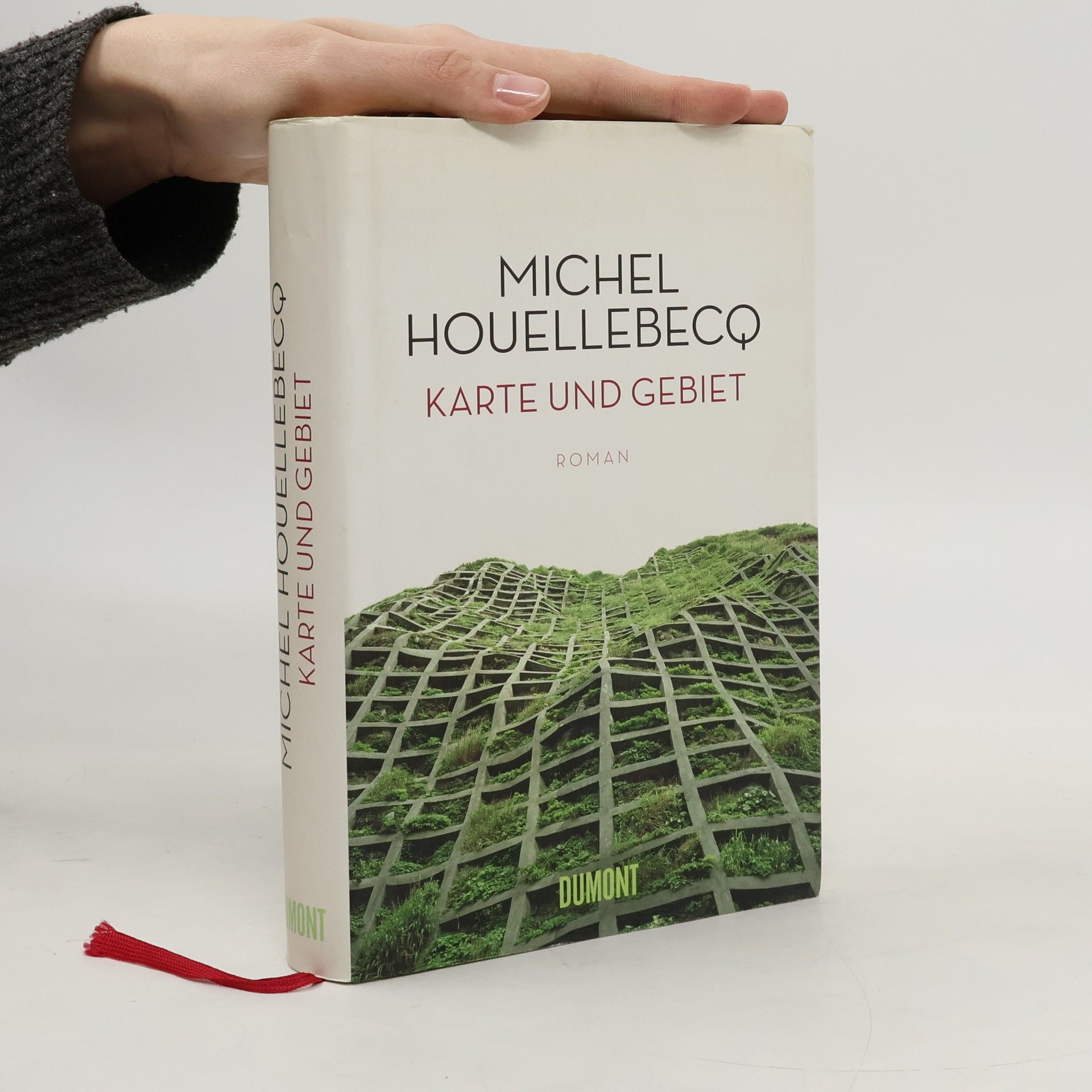 Michel Houellebecq Karte und Gebiet