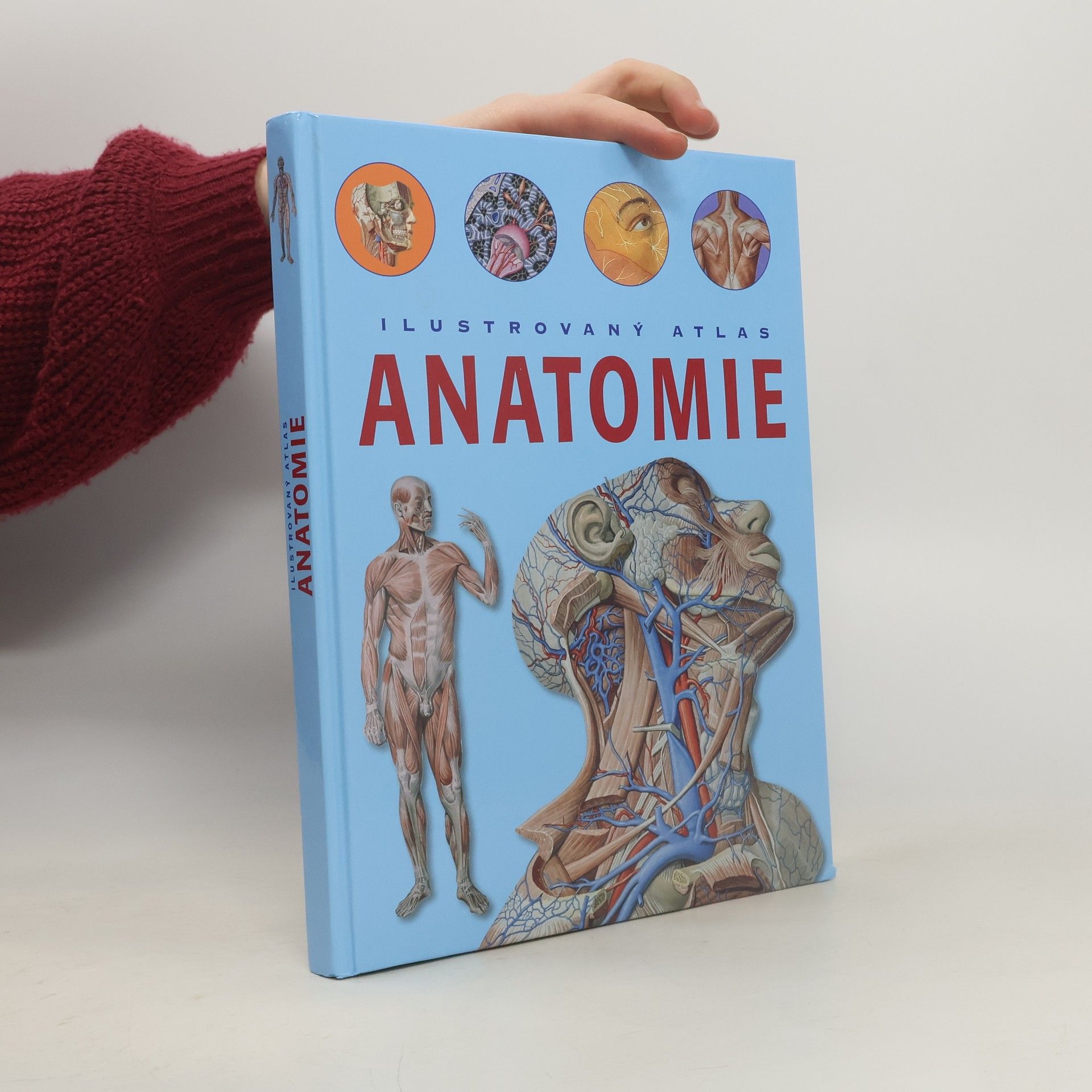 Adriana Rigutti Ilustrovaný atlas anatomie