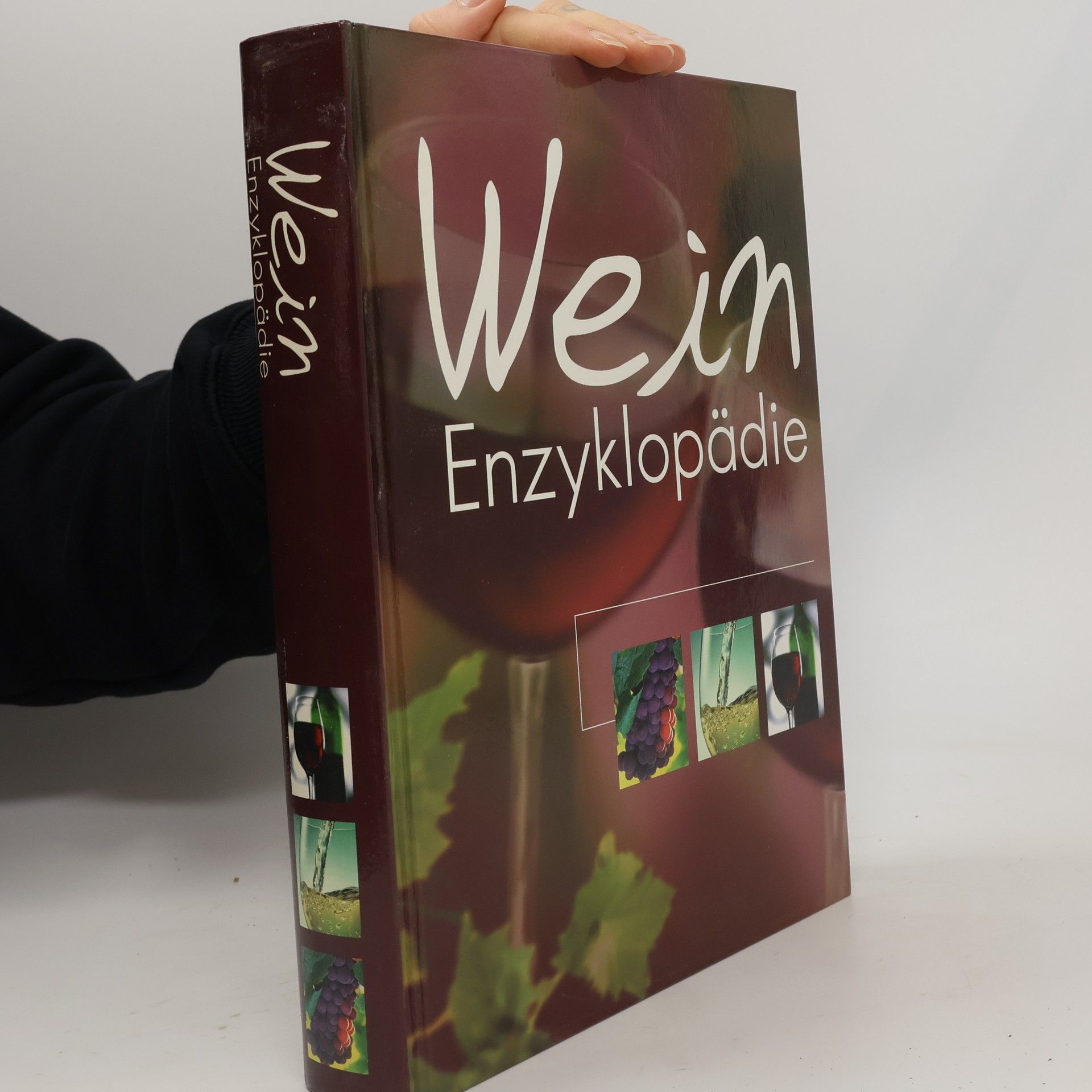 Autorenkollektiv Wein Enzyklopädie