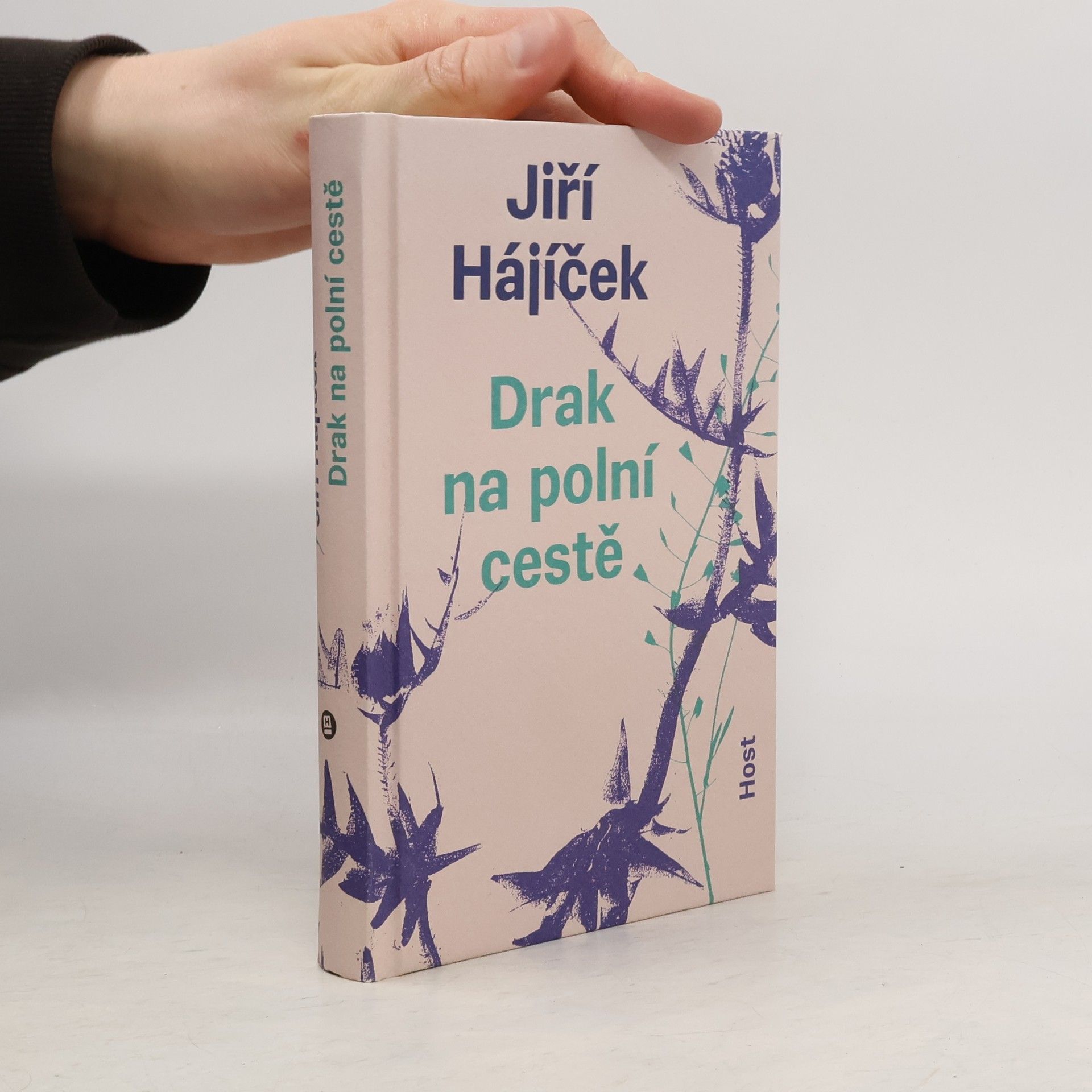 Jiří Hájíček Drak na polní cestě