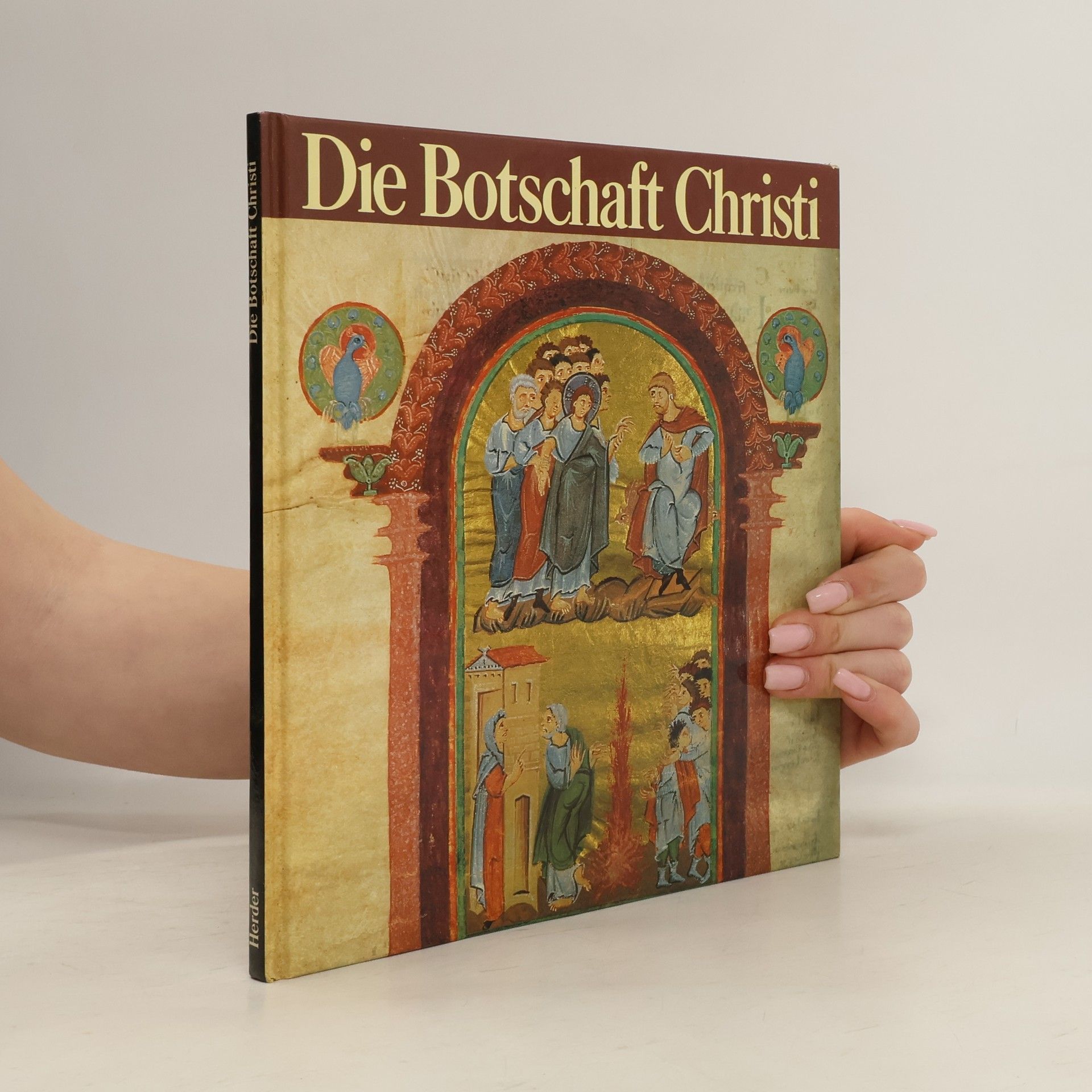 Anselm Hertz Die Botschaft Christi