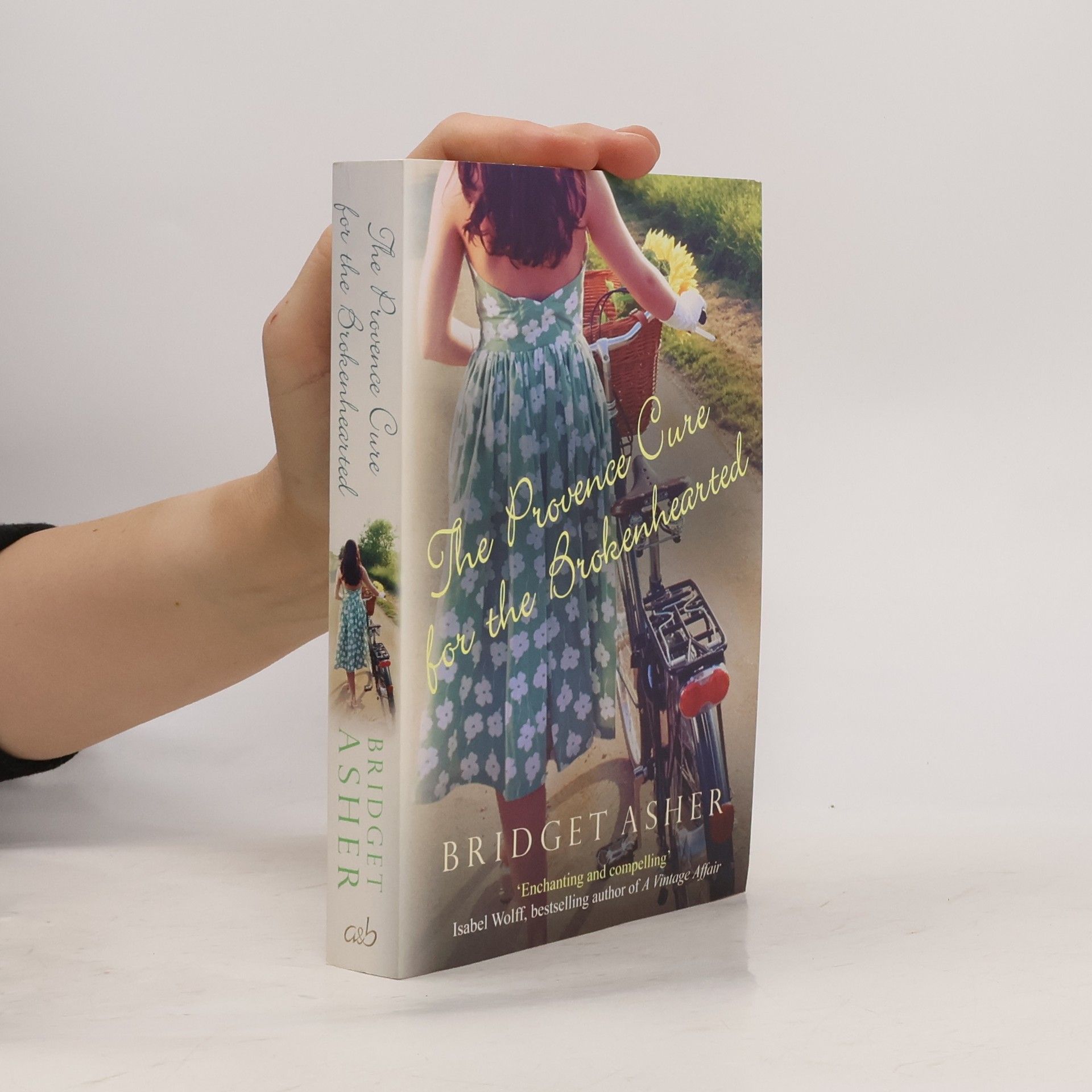 Bridget Asher The Provence cure for the brokenhearted