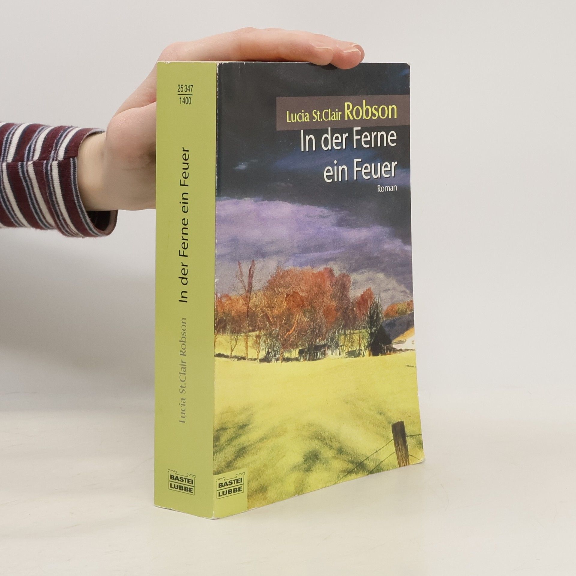 Lucia Saint Clair Robson In der Ferne ein Feuer