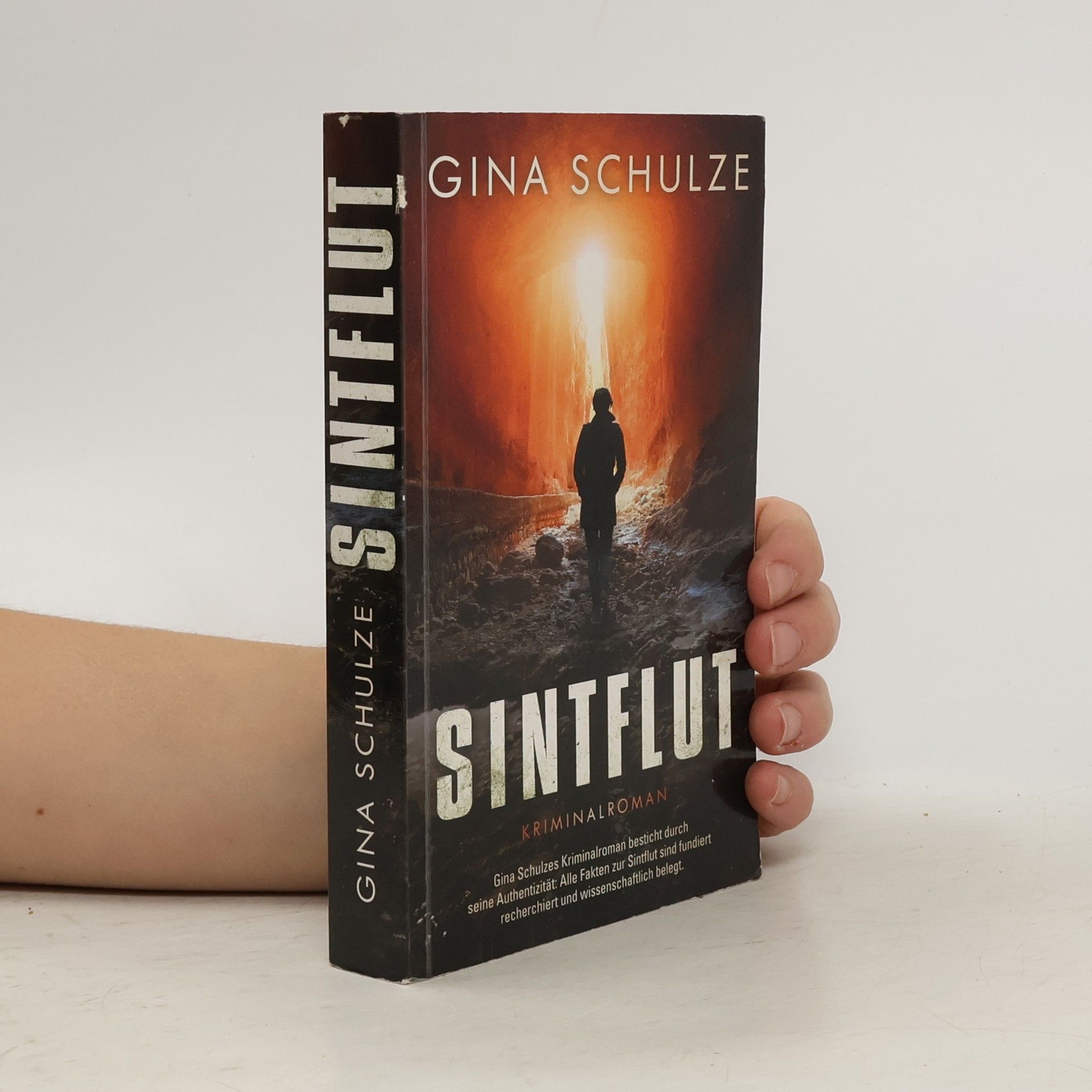 Gina Schulze Sintflut