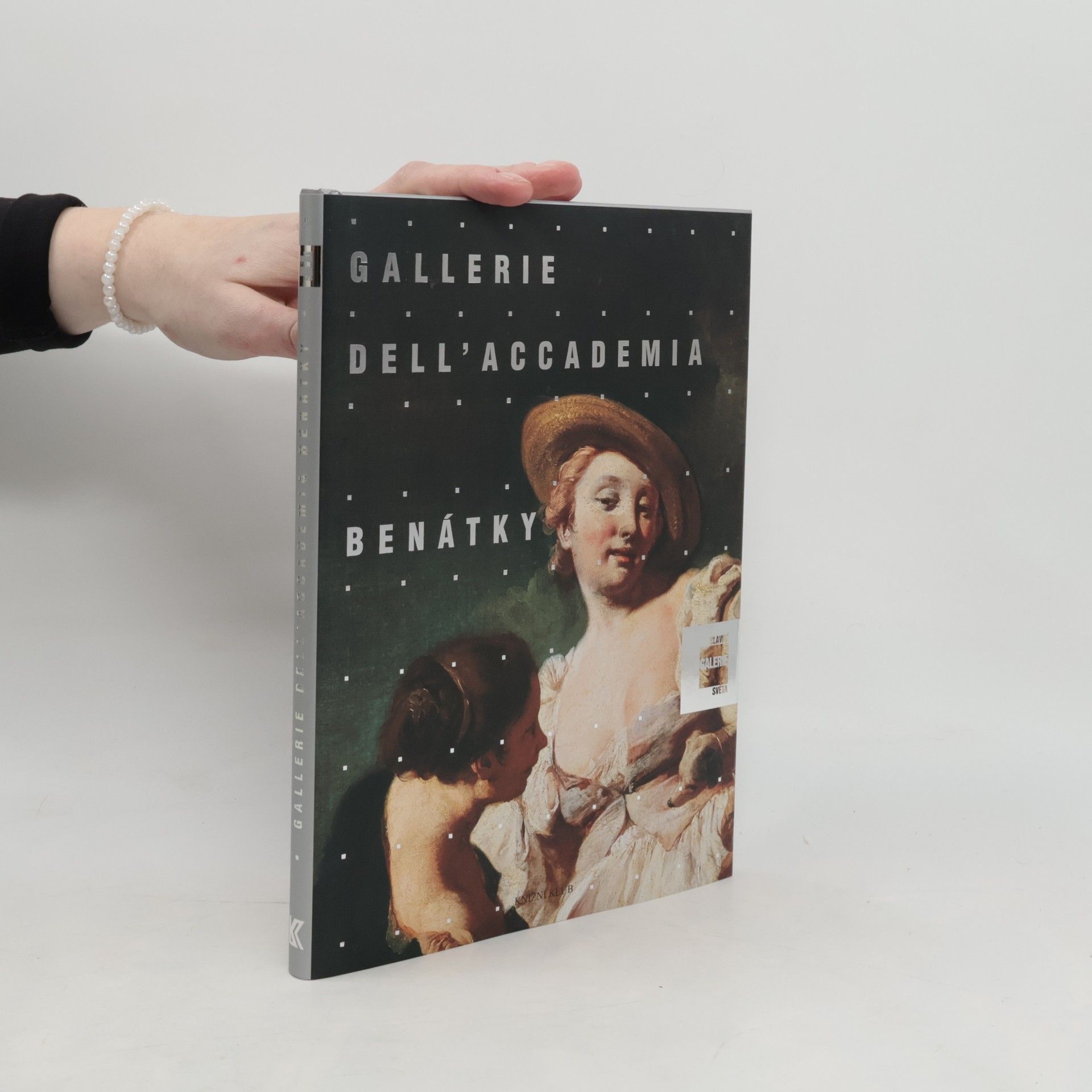 Lucia Impelluso Gallerie dell'Accademia Benátky