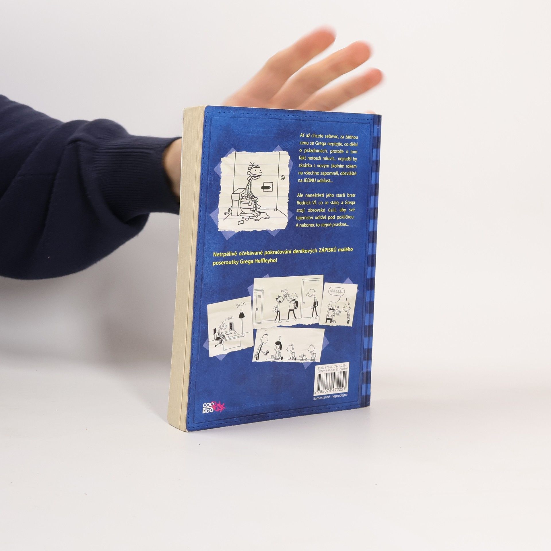 Jeff Kinney Deník malého poseroutky 2. Roderick je King