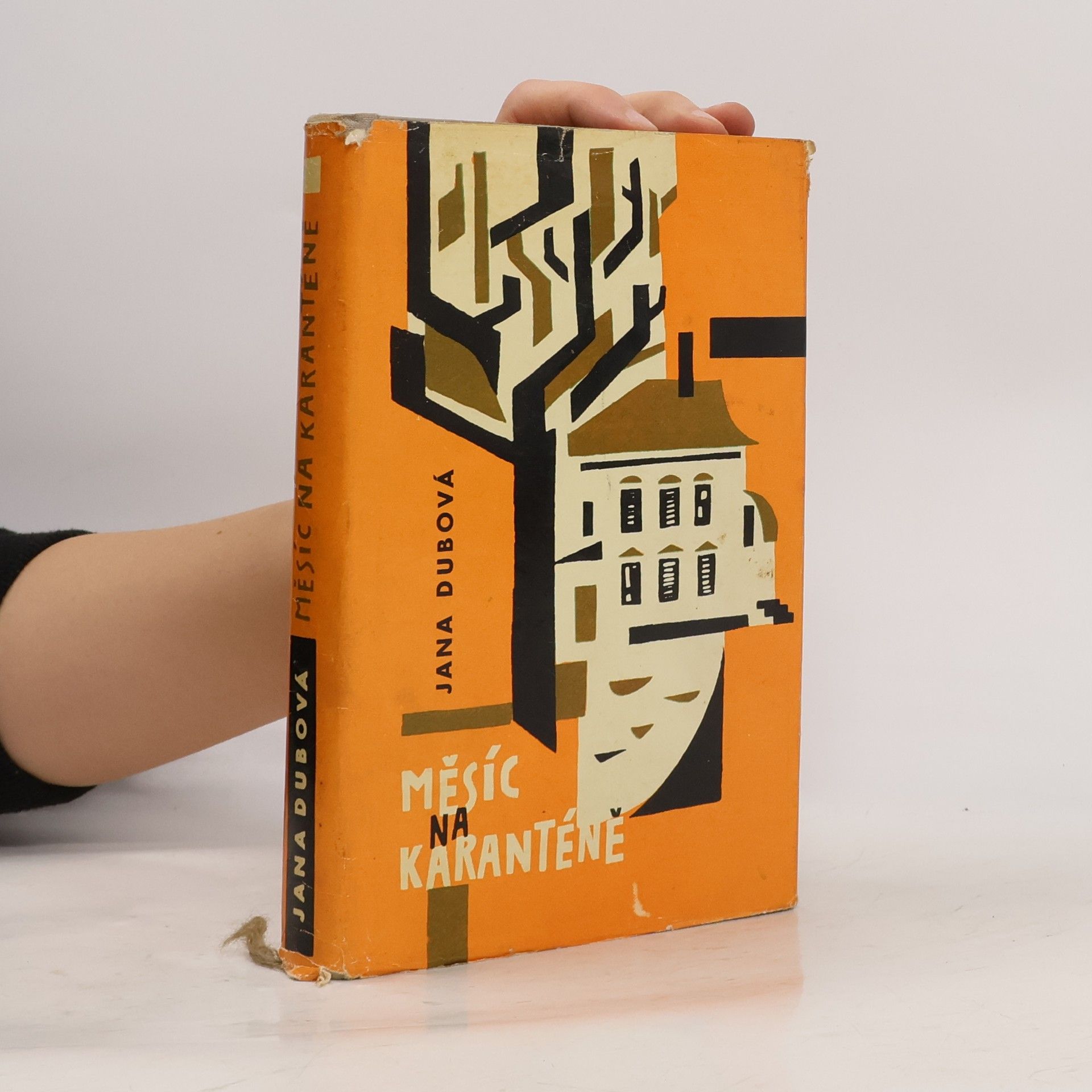 Jana Dubová Měsíc na karanténě