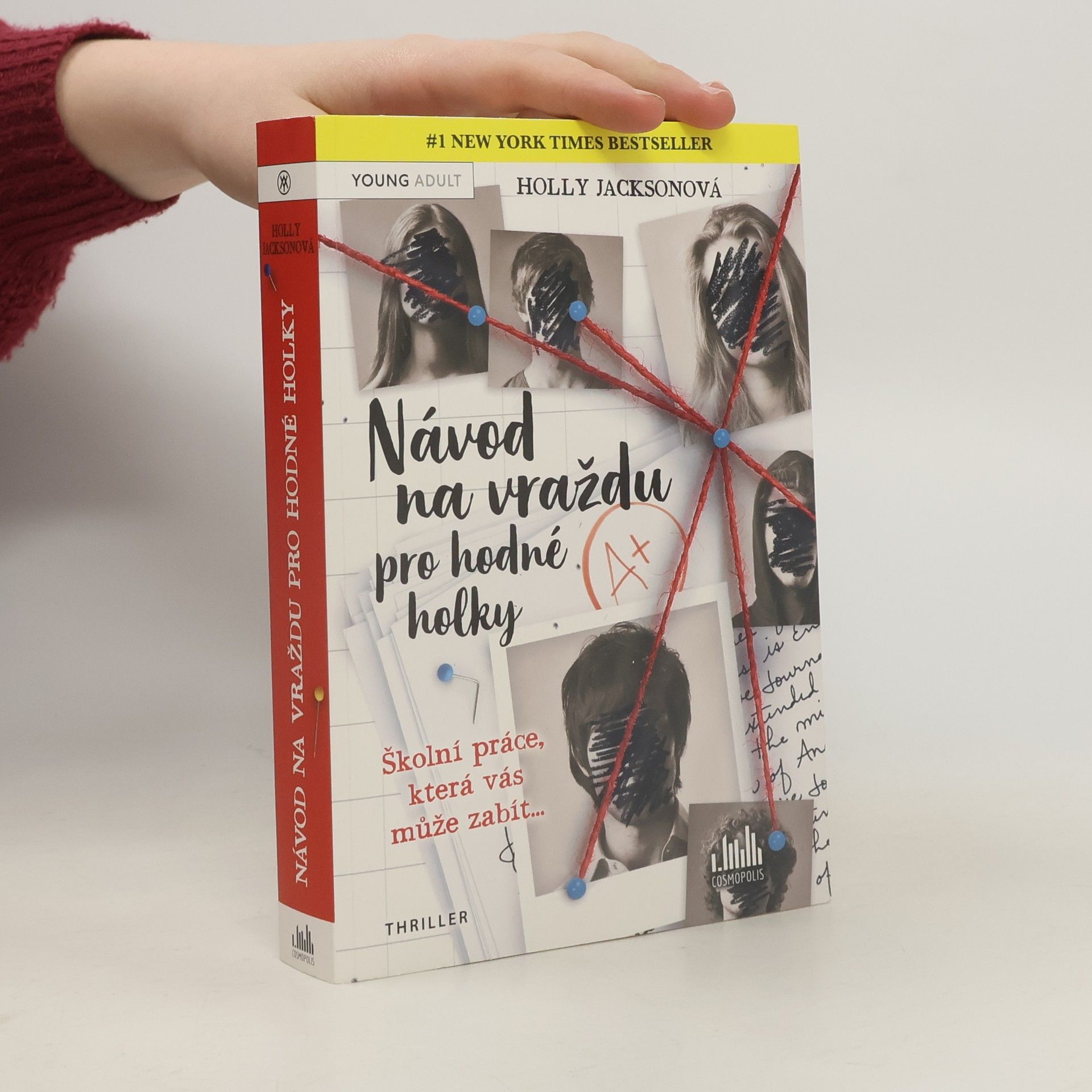 Holly Jackson Návod na vraždu pro hodné holky