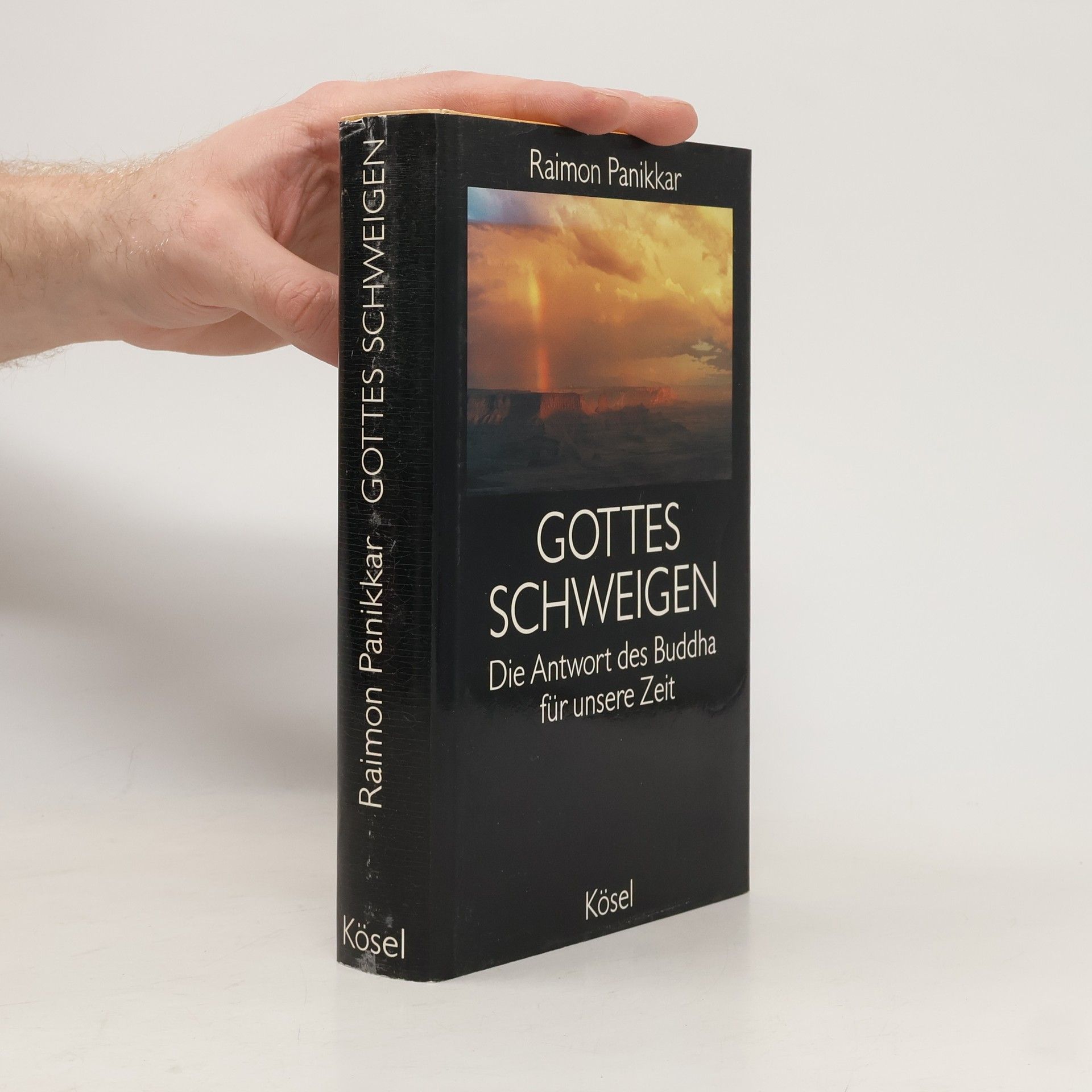 Raimundo Panikkar Gottes Schweigen. Die Antwort des Buddha für unsere Zeit.