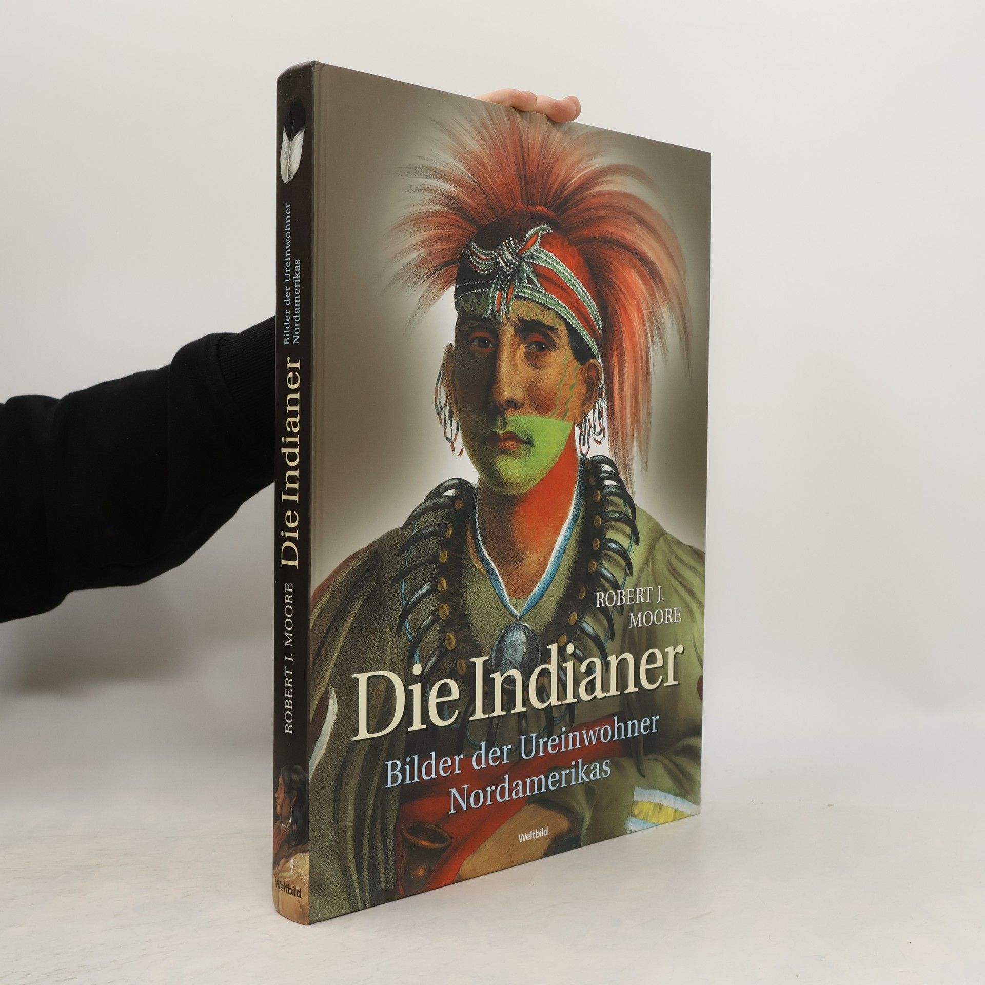 Valeria Manferto Die Indianer