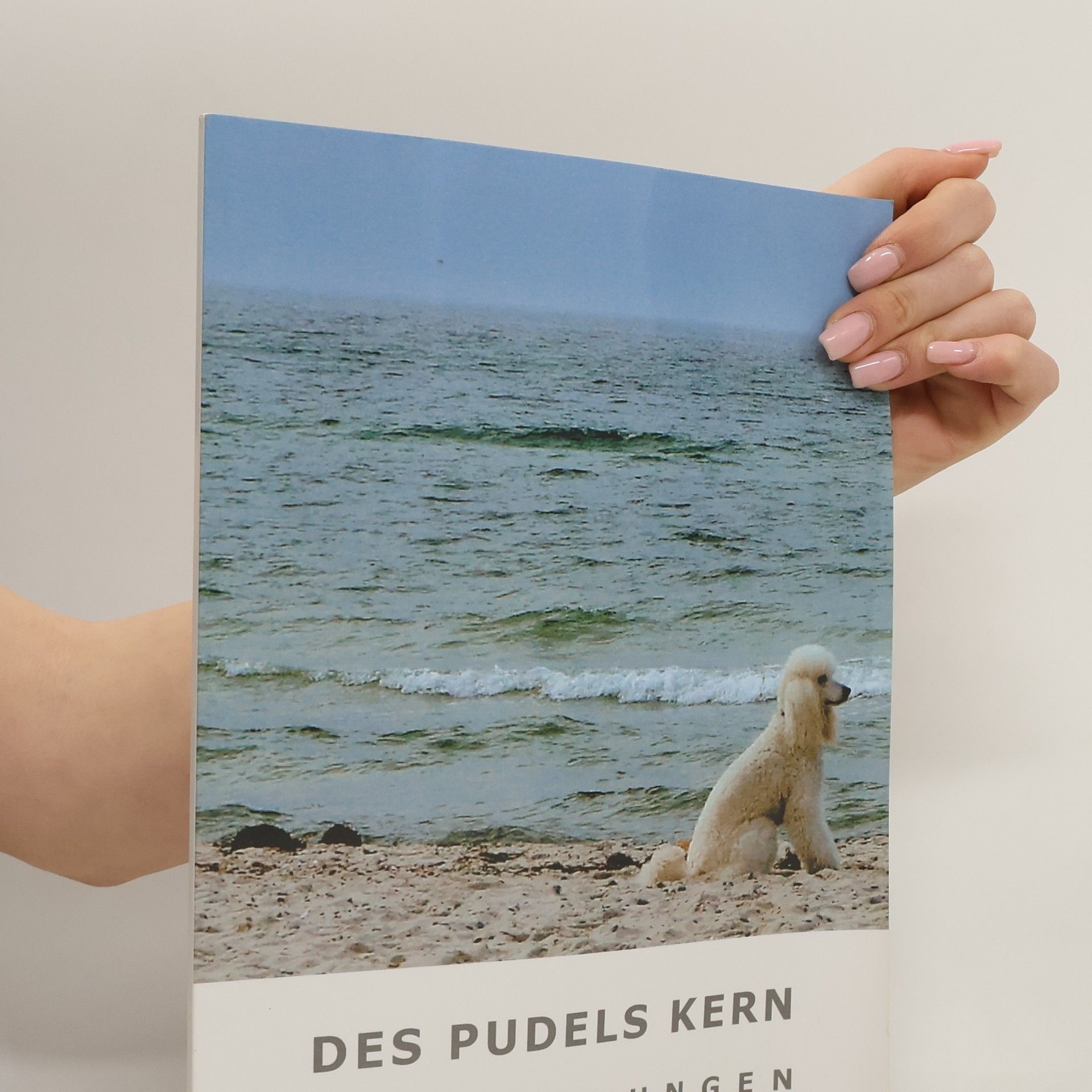 Hans Eike von Oppeln-Bronikowski Des Pudels Kern