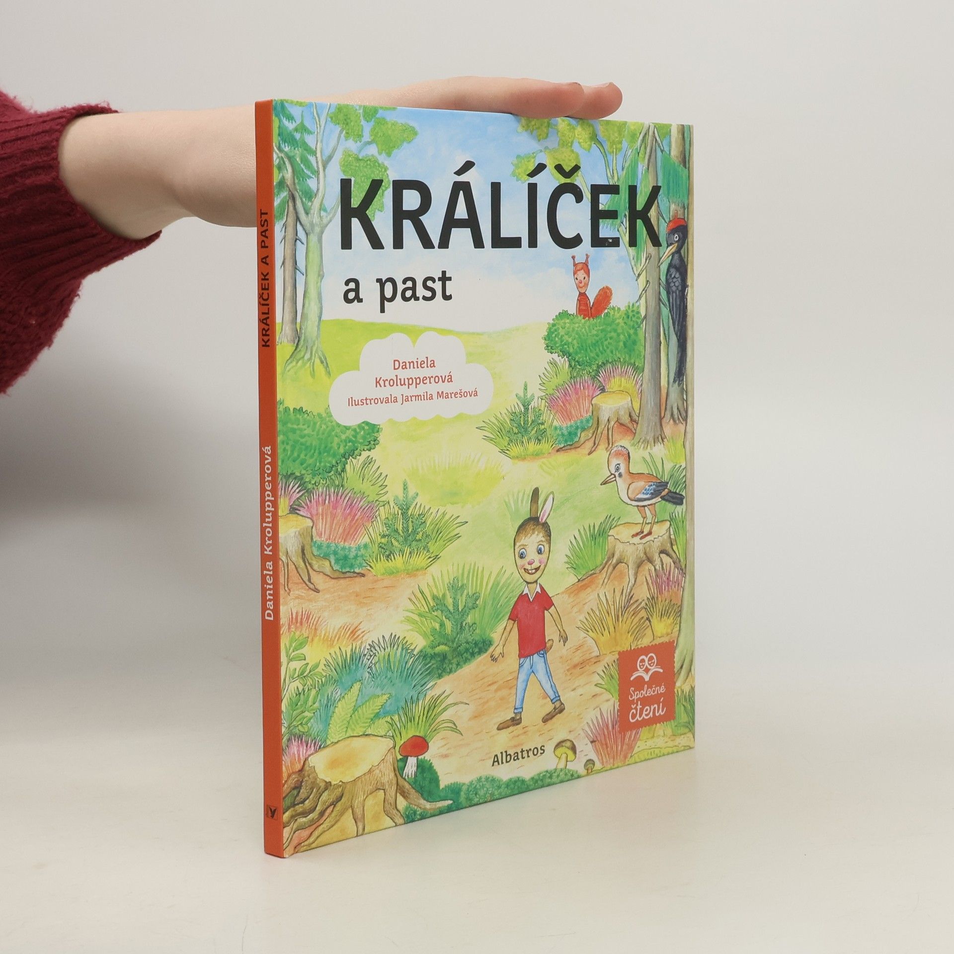 Daniela Krolupperová Králíček a past