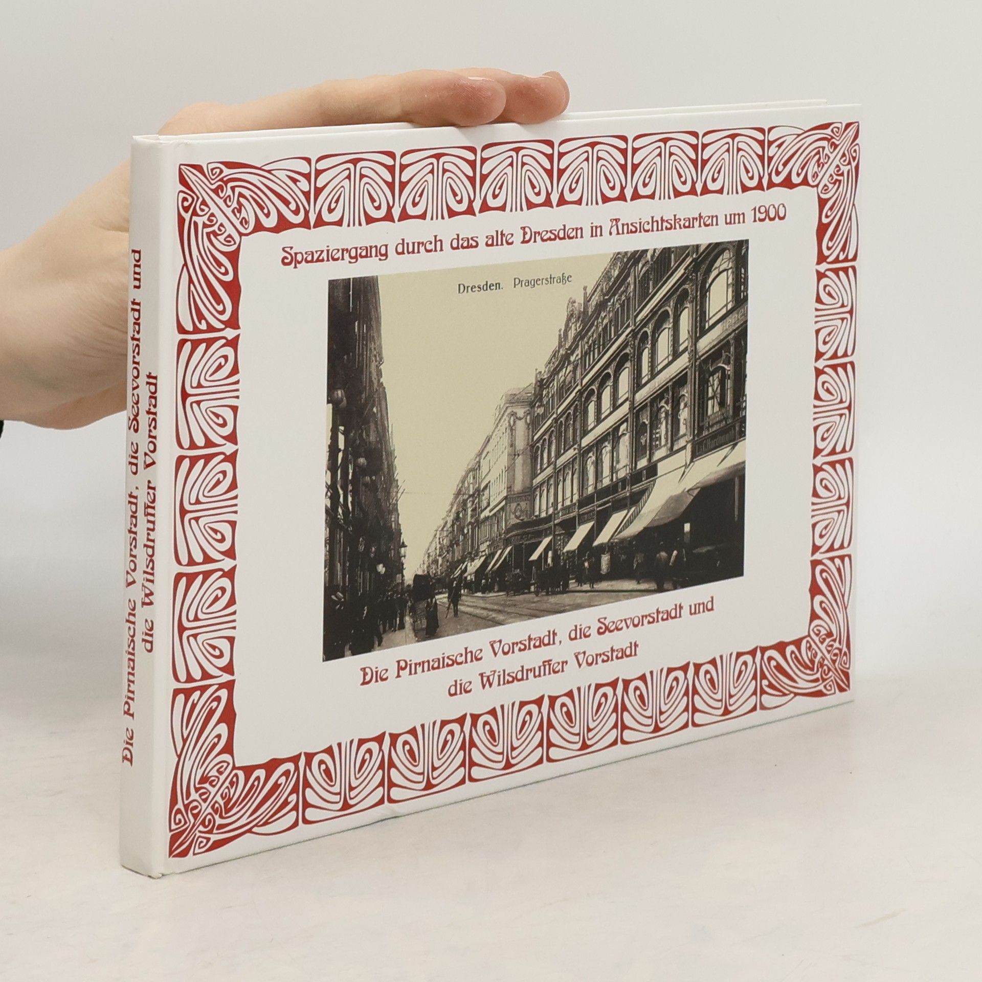 Ralph-Michael Schmidt Spaziergang durch das alte Dresden in Ansichtskarten um 1900 - die Pirnaische Vorstadt, die Seevorstadt und die Wilsdruffer Vorstadt