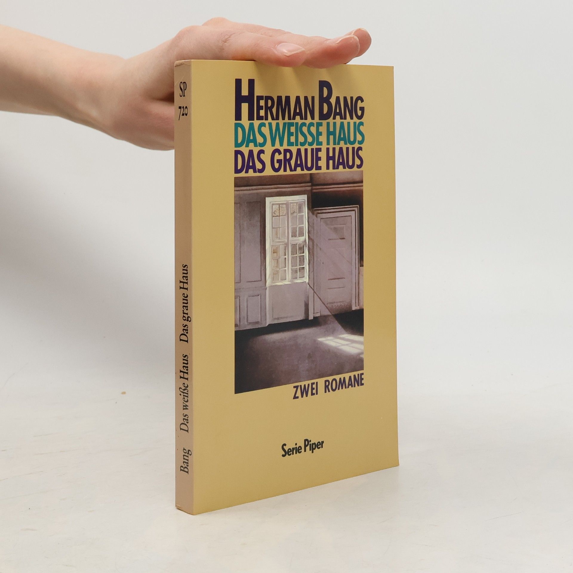 Herman Bang Das weisse Haus Piper; Bd. 720