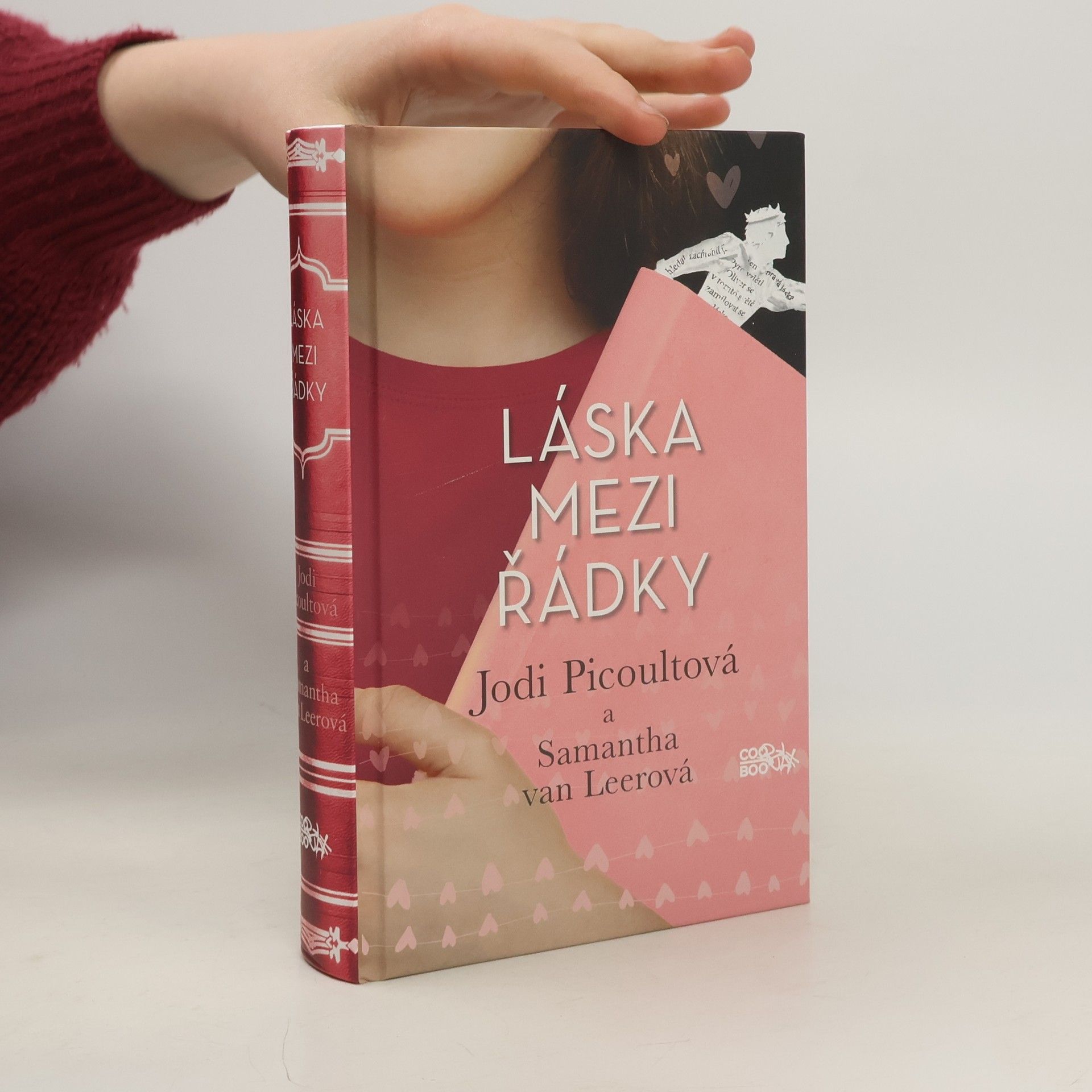 Jodi Picoult Láska mezi řádky