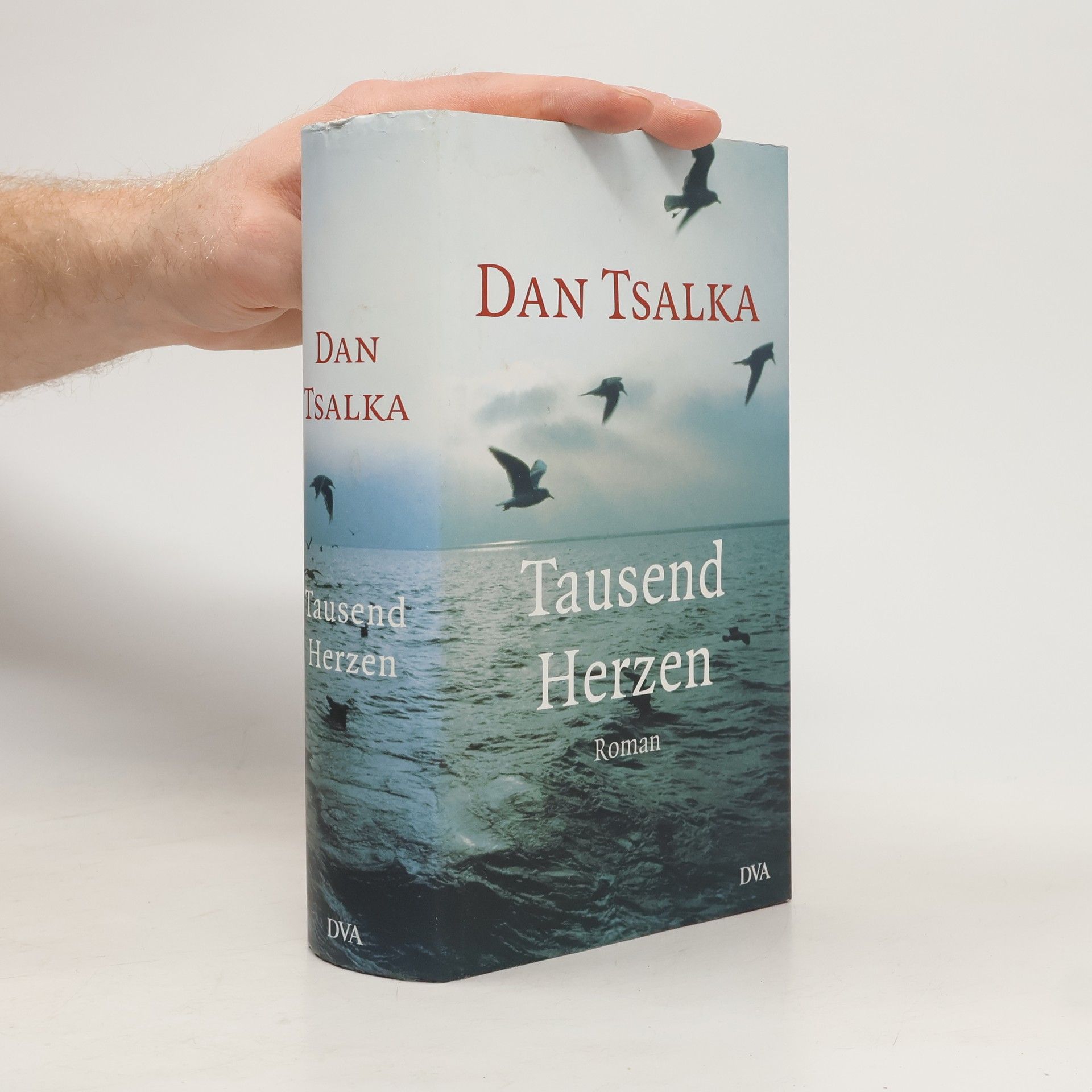 Dan Tsalka Tausend Herzen