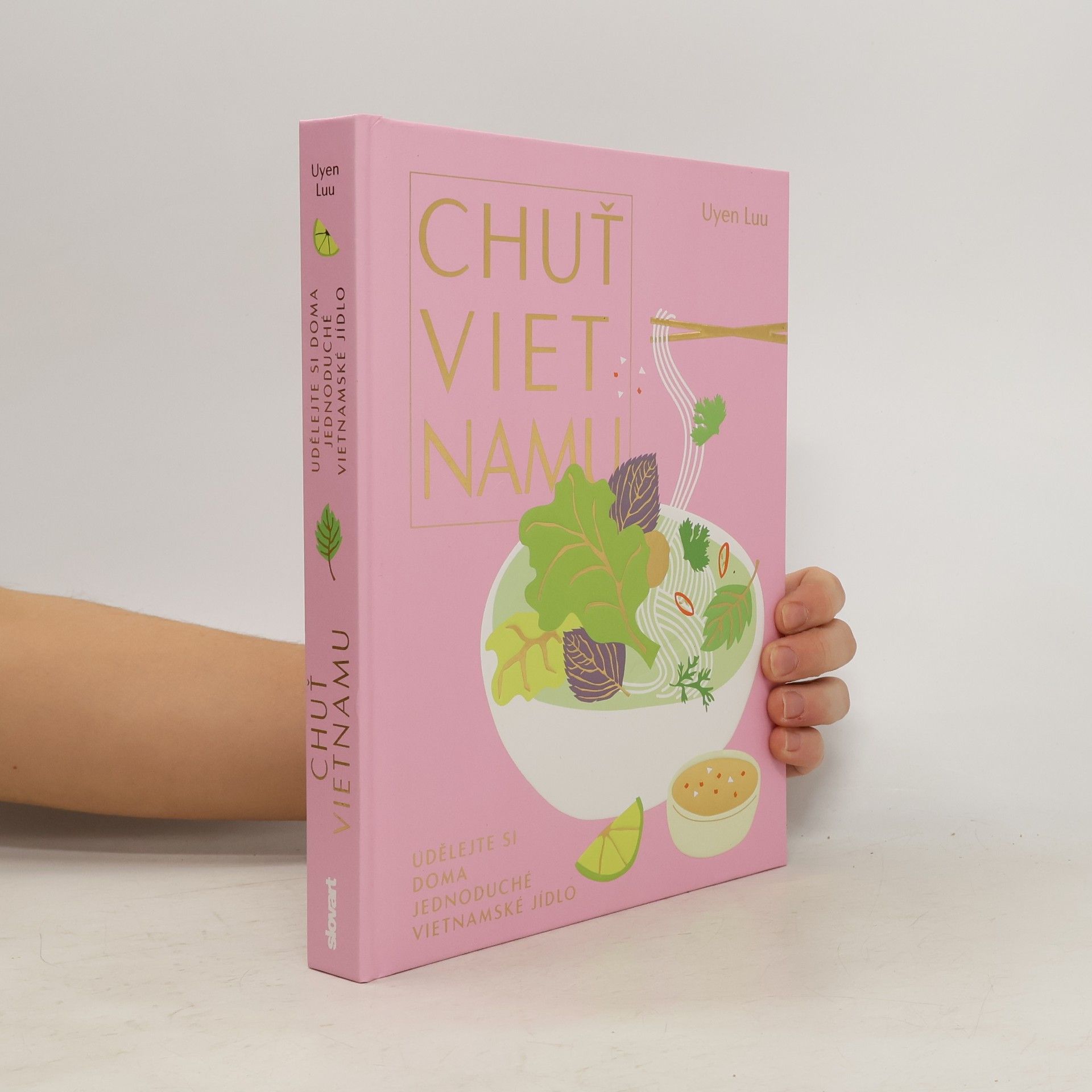 Dagmar Eisenmann Chuť Vietnamu: udělejte si doma jednoduché vietnamské jídlo