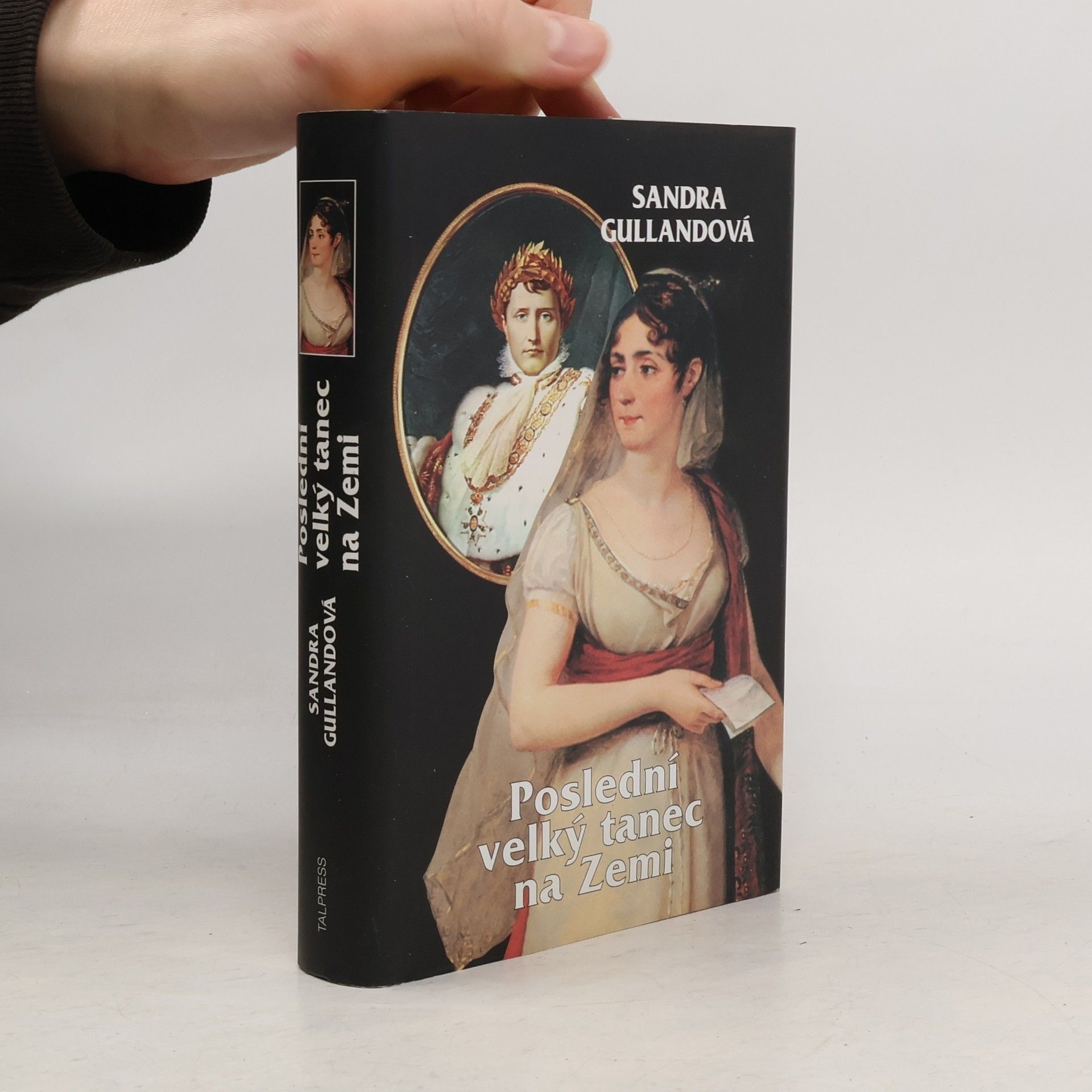 Sandra Gulland Poslední velký tanec na zemi