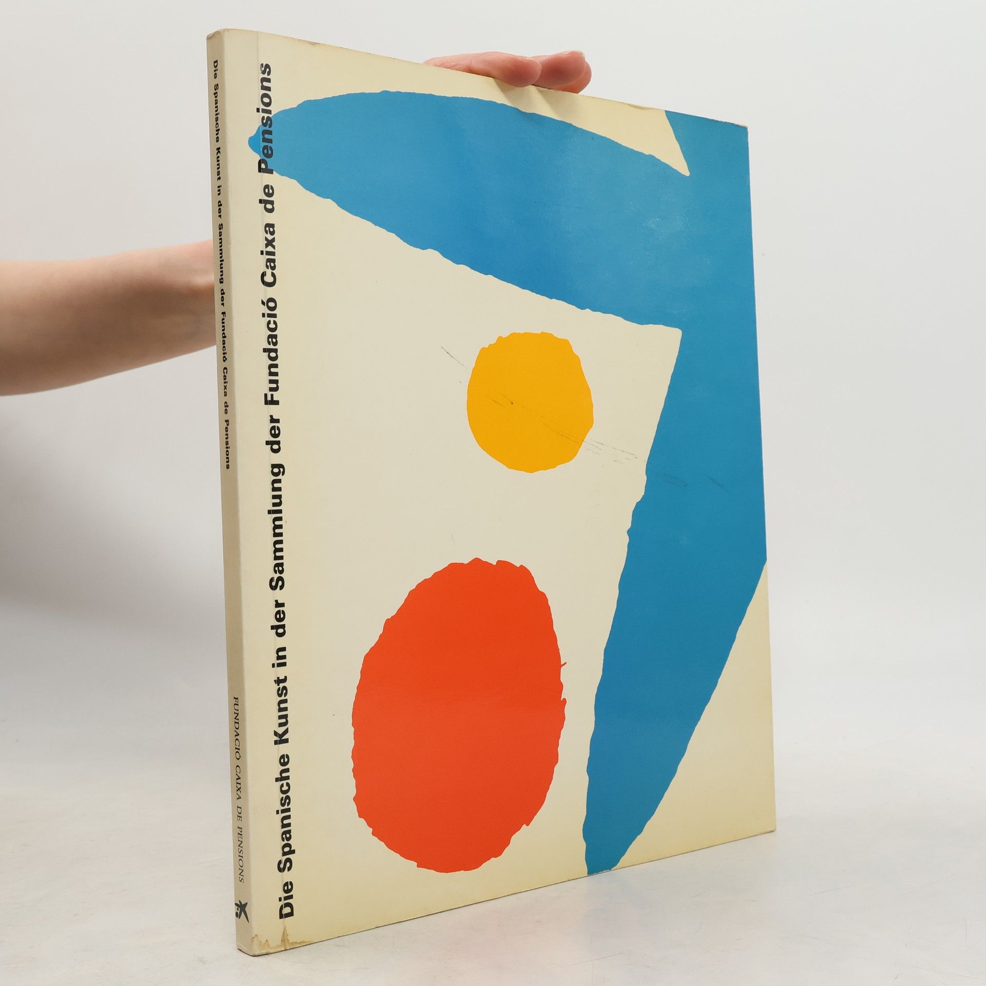 Mar Lissón Die spanische Kunst in der Sammlung der Fundació Caixa de Pensions