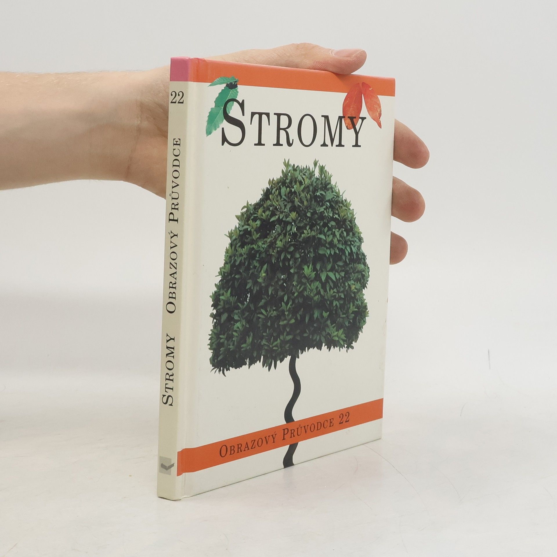 Autorenkollektiv Stromy