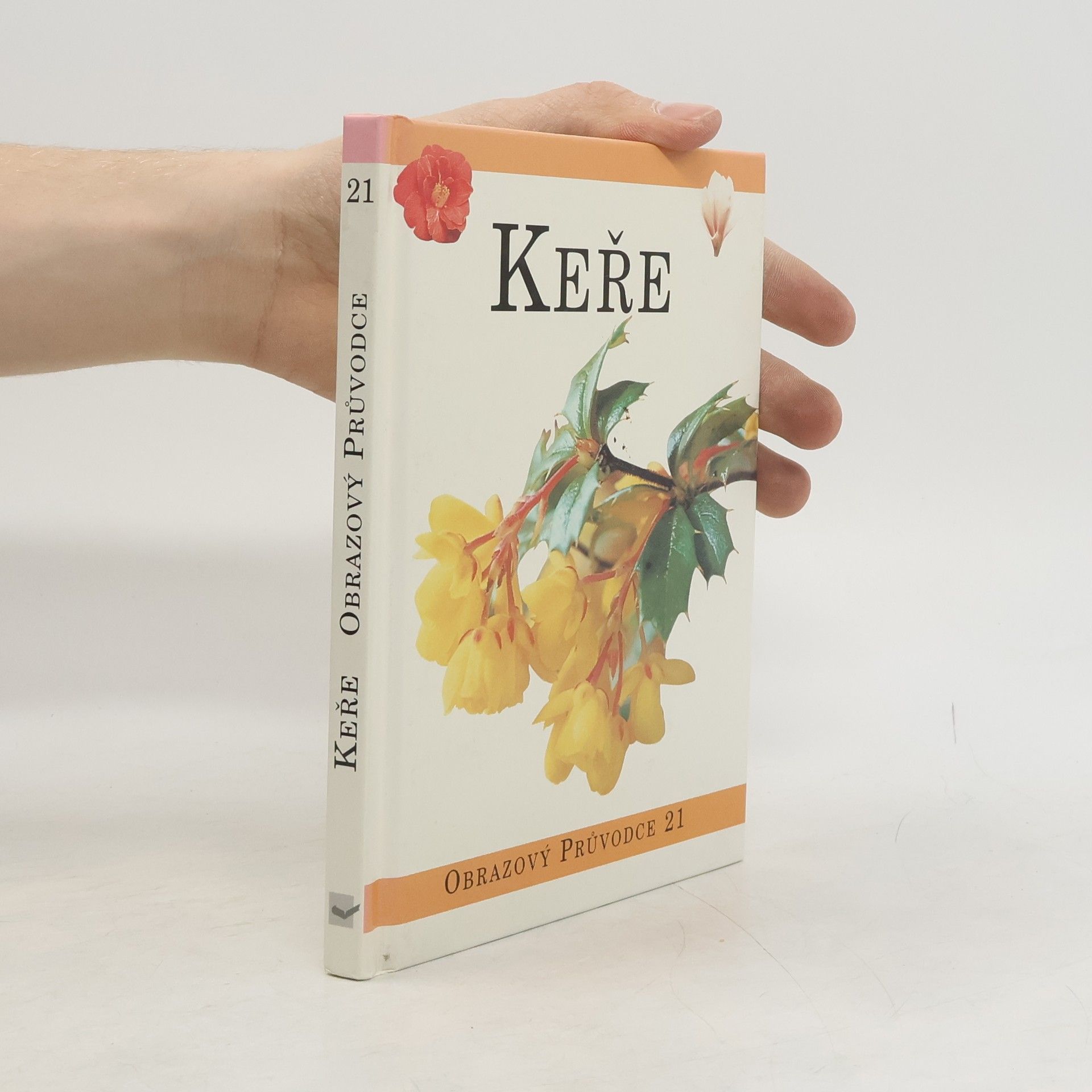 Autorenkollektiv Keře