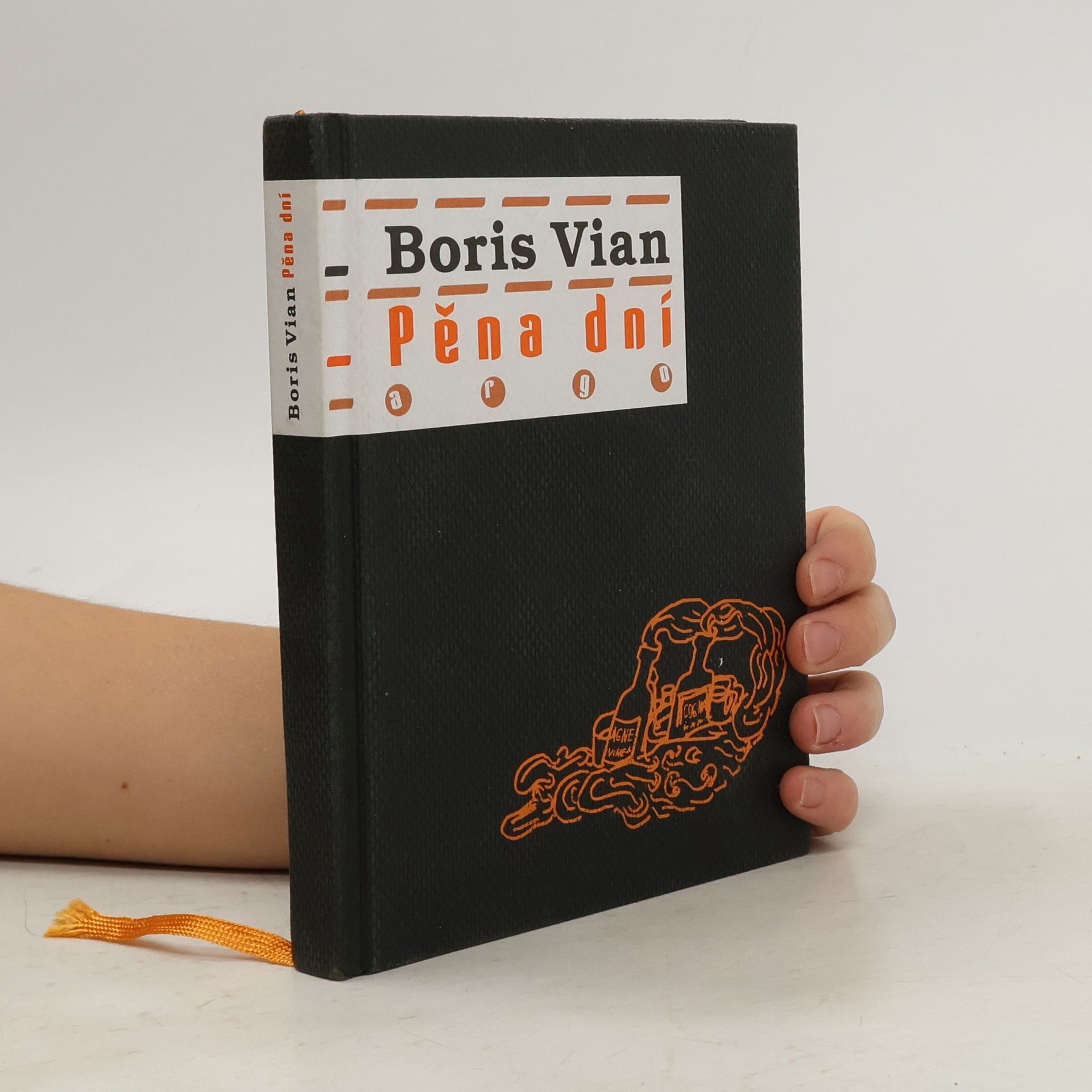 Boris Vian Pěna dní