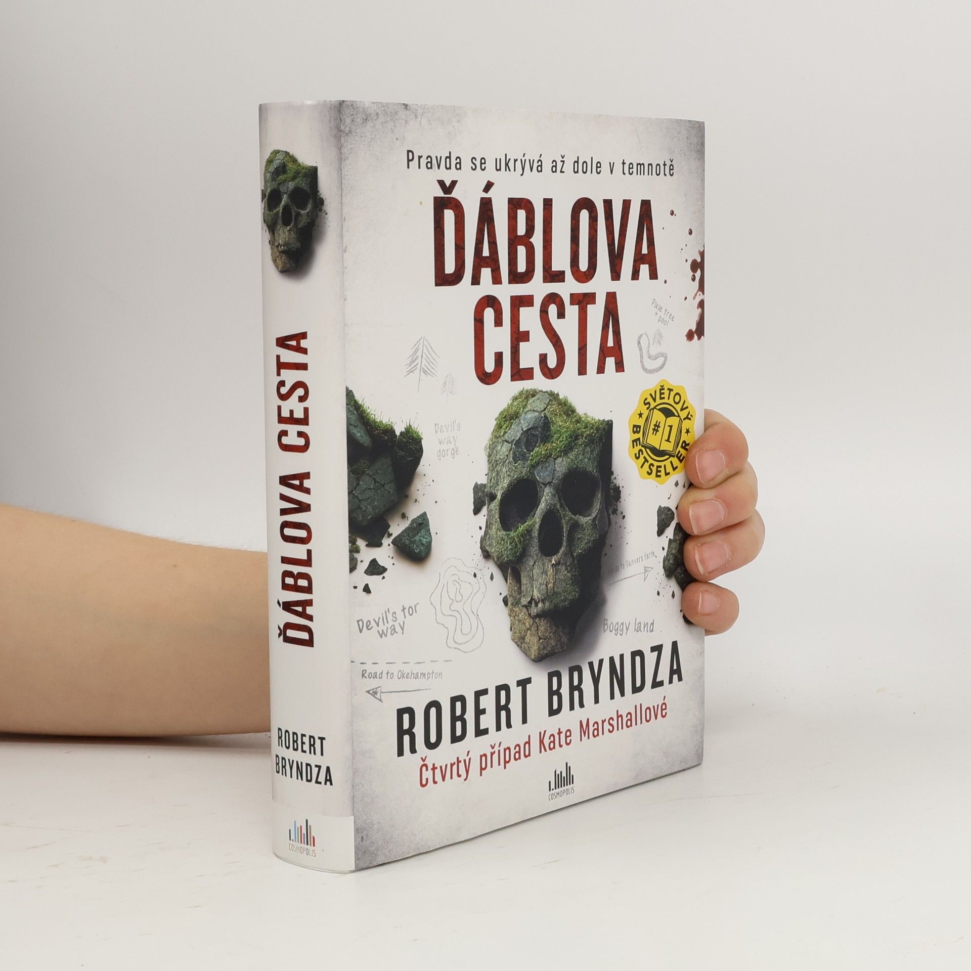 Robert Bryndza Ďáblova cesta