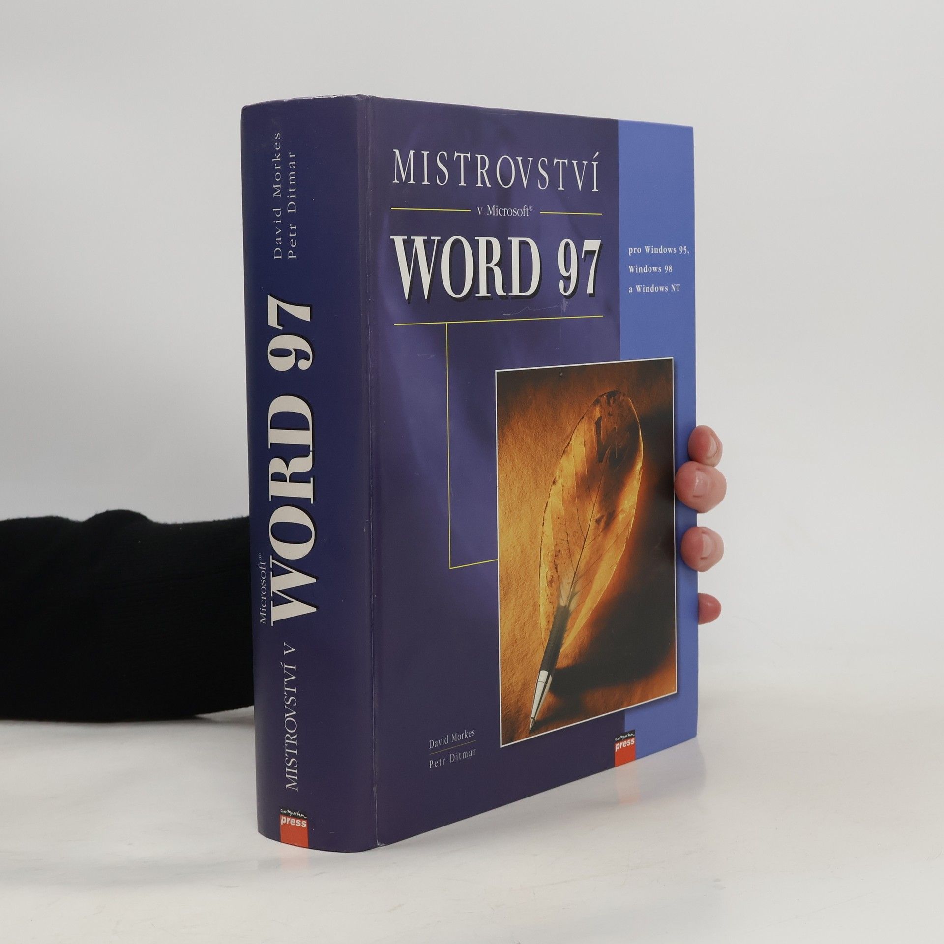 Mistrovství v Microsoft Word 97