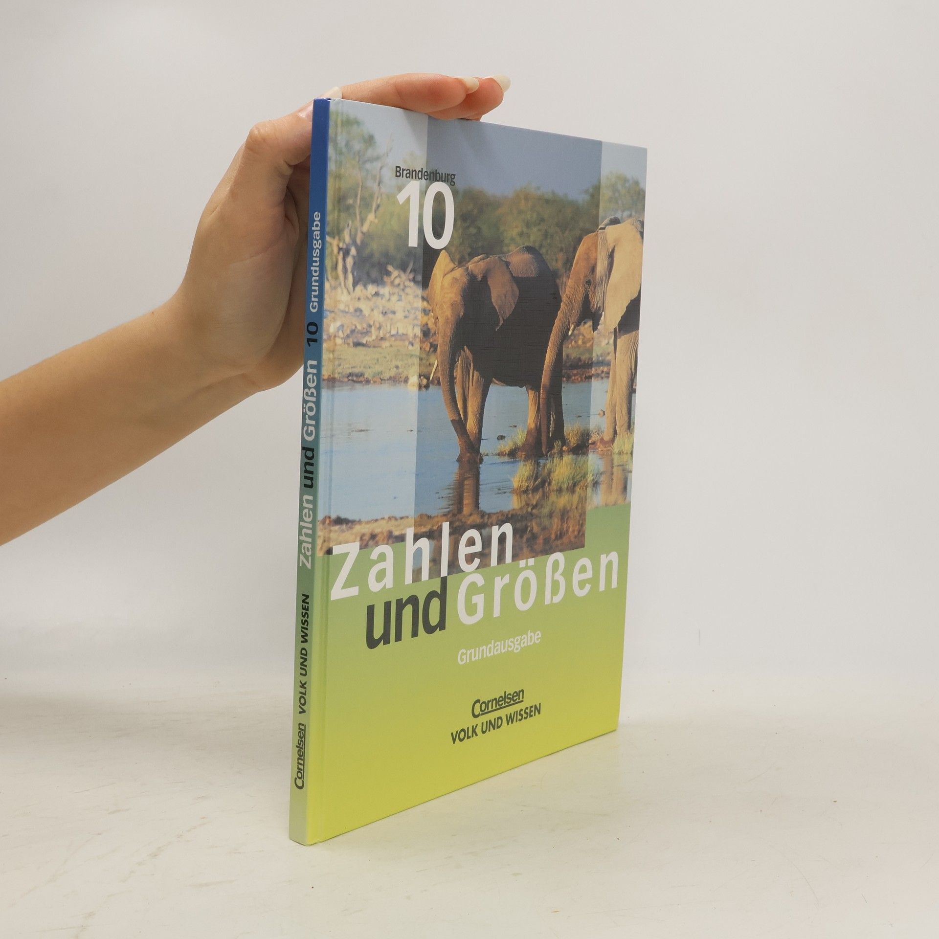 Autorenkollektiv Brandenburg 10. Zahlen und Größen